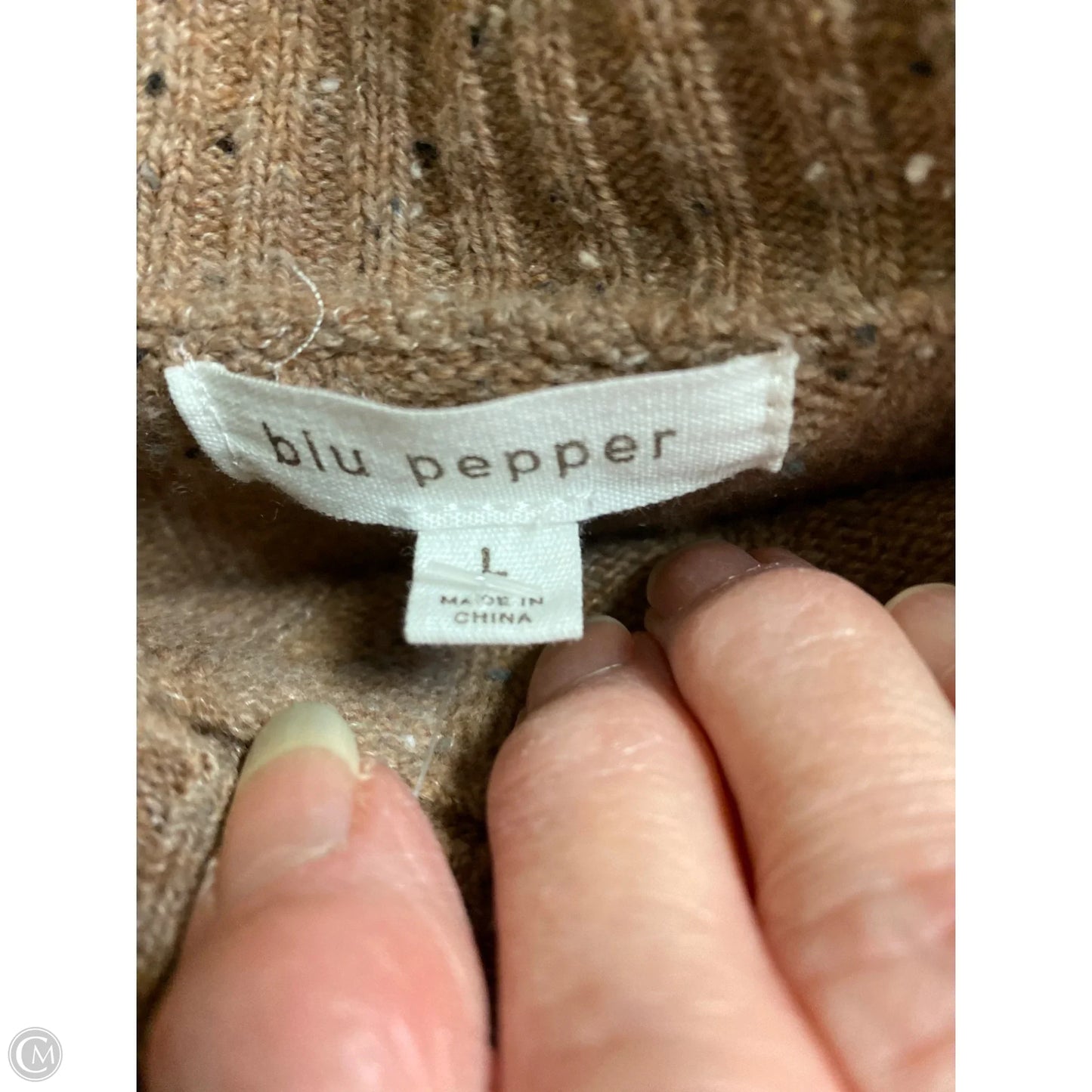 Sweater By Blu Pepper In Brown, Size: L