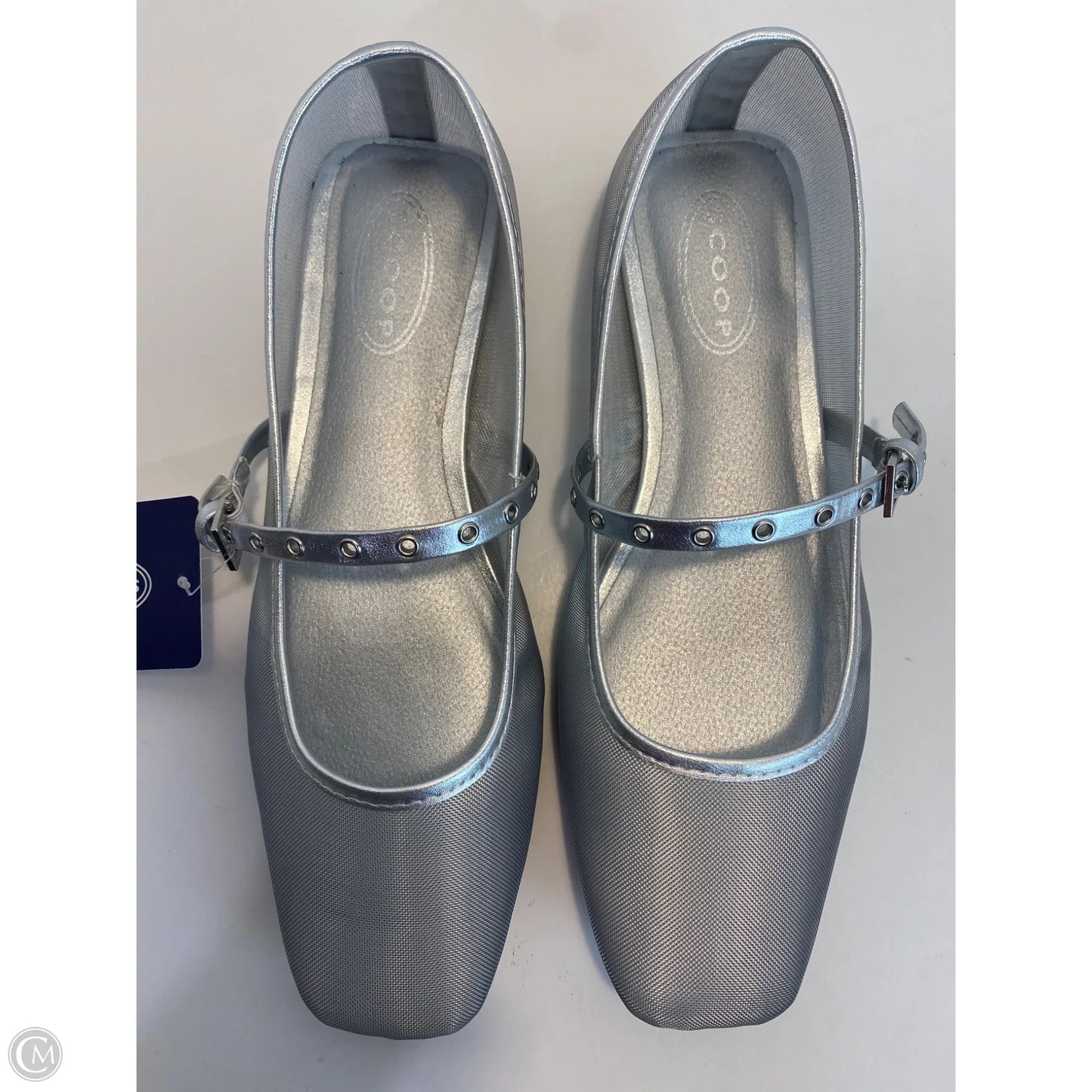 Shoes Flats By Scoop In Silver, Size: 10