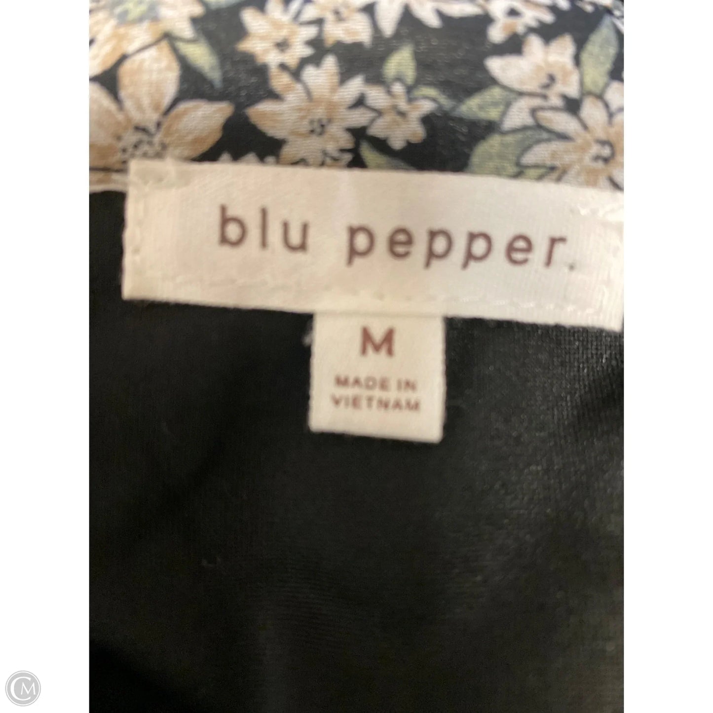 Dress Casual Maxi By Blu Pepper In Tan, Size: M