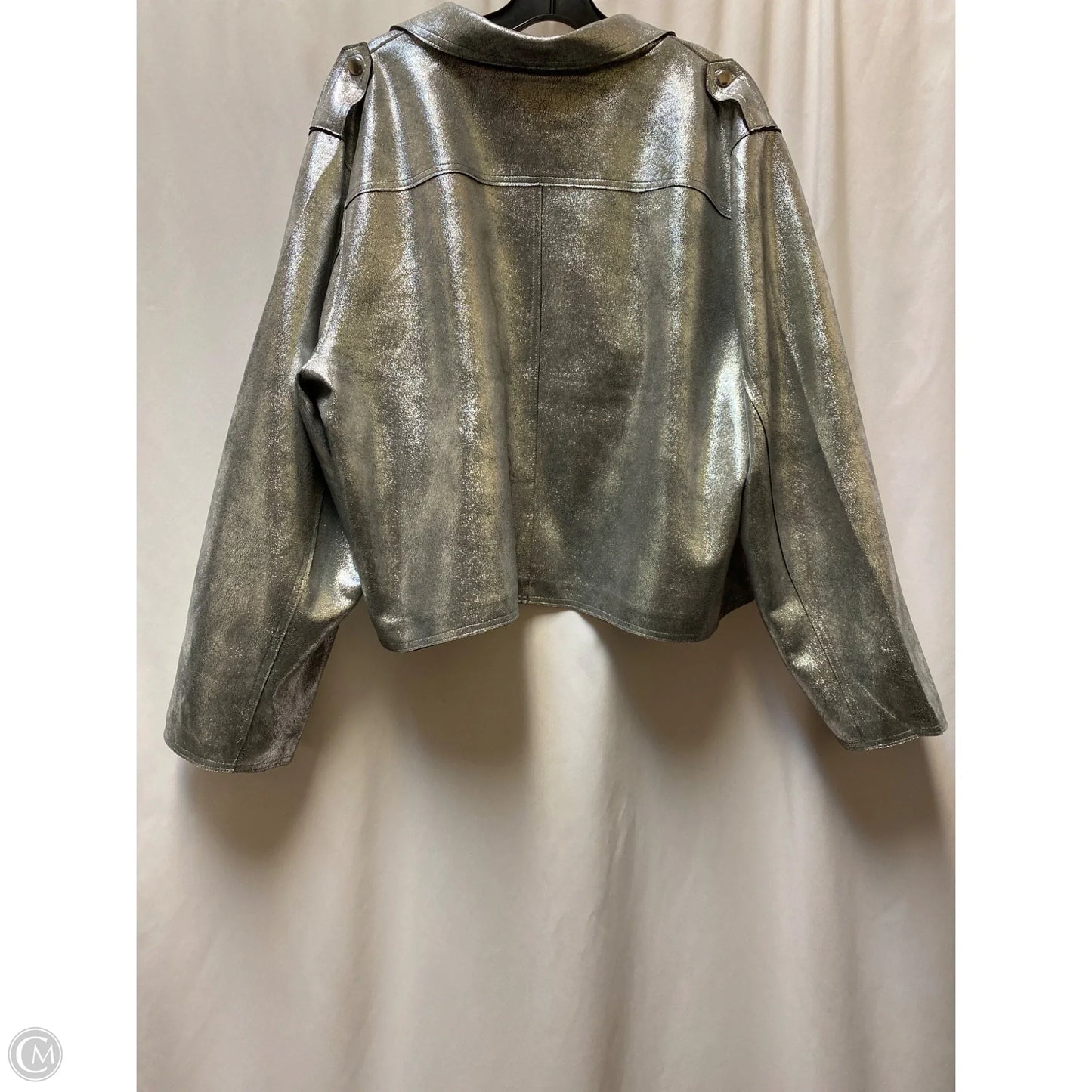 Jacket Other By Cato In Silver, Size: 3x