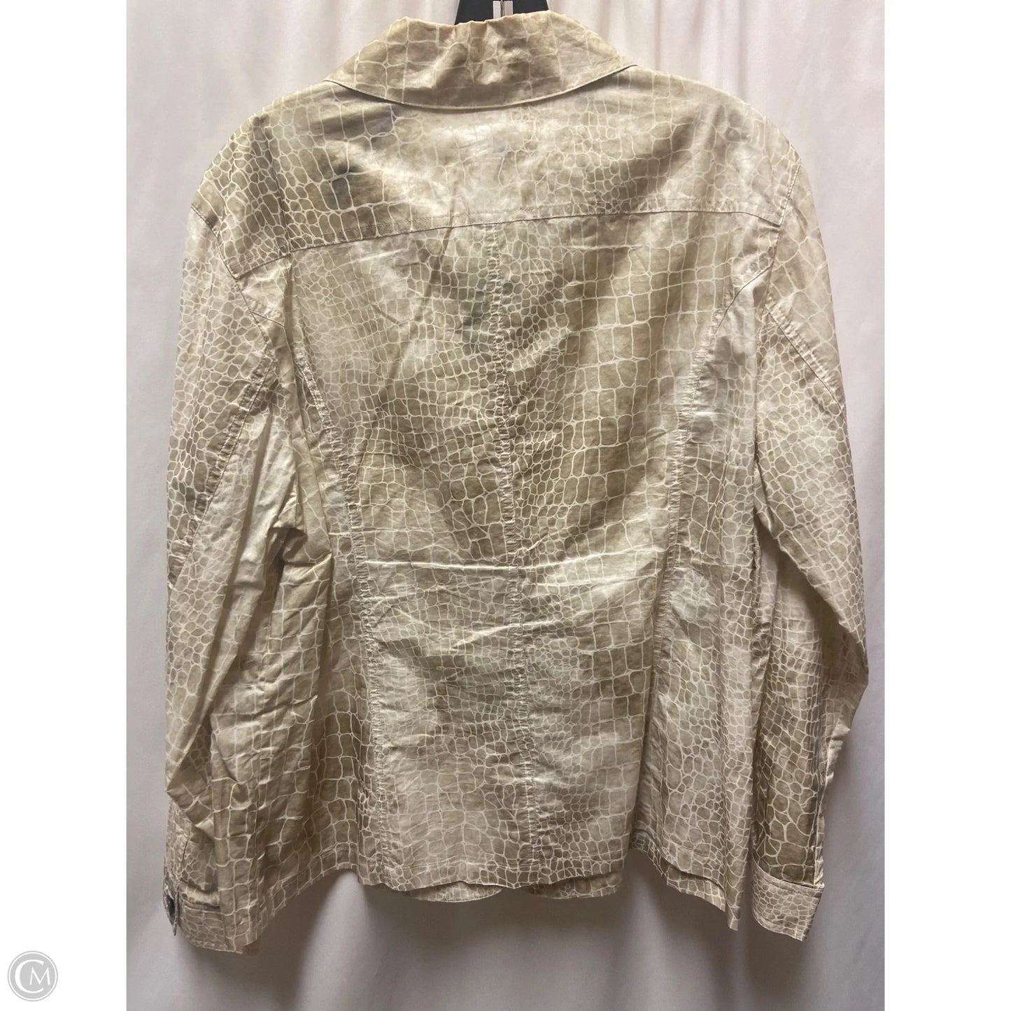 Top Long Sleeve By Chicos In Tan, Size: 3x