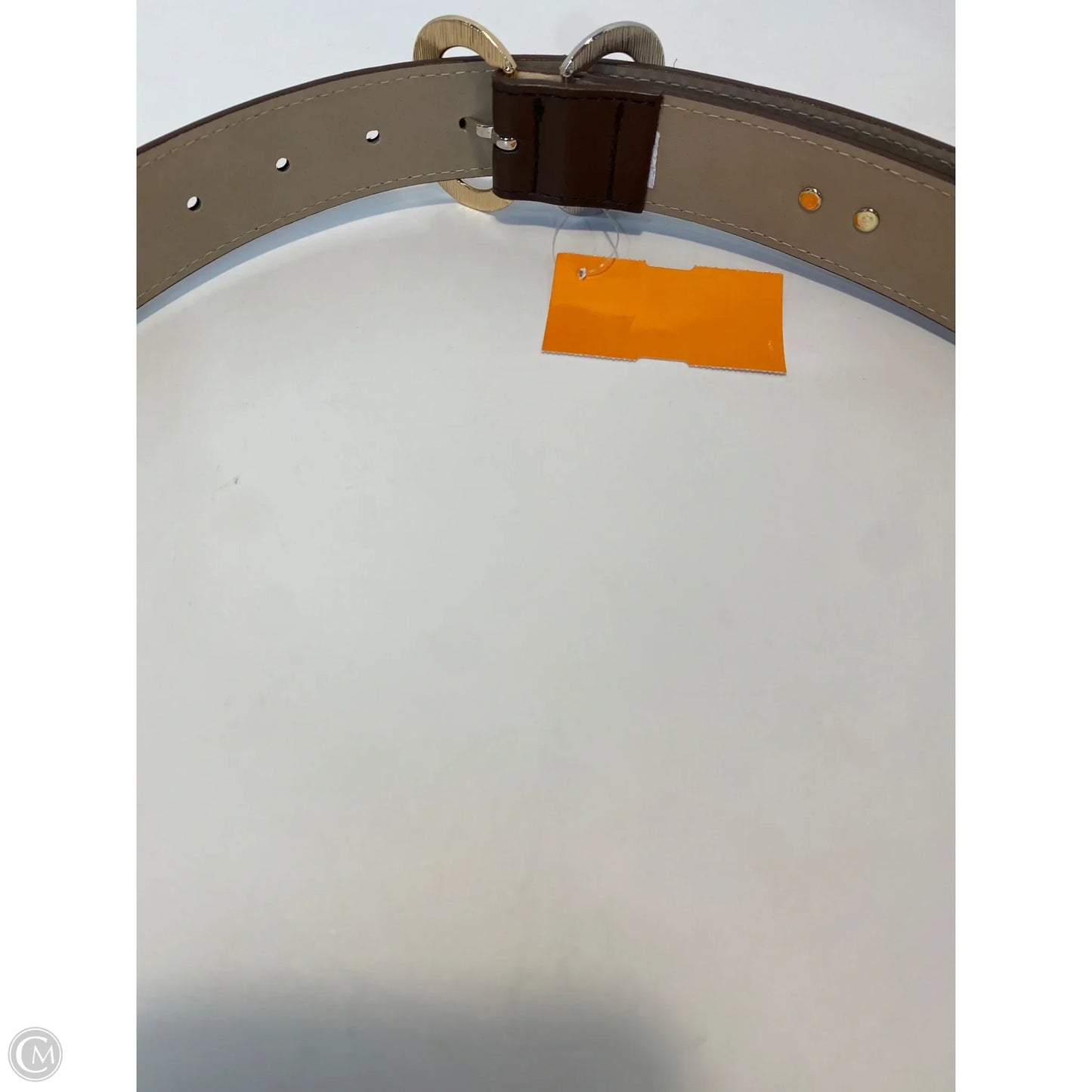 Belt By Steve Madden