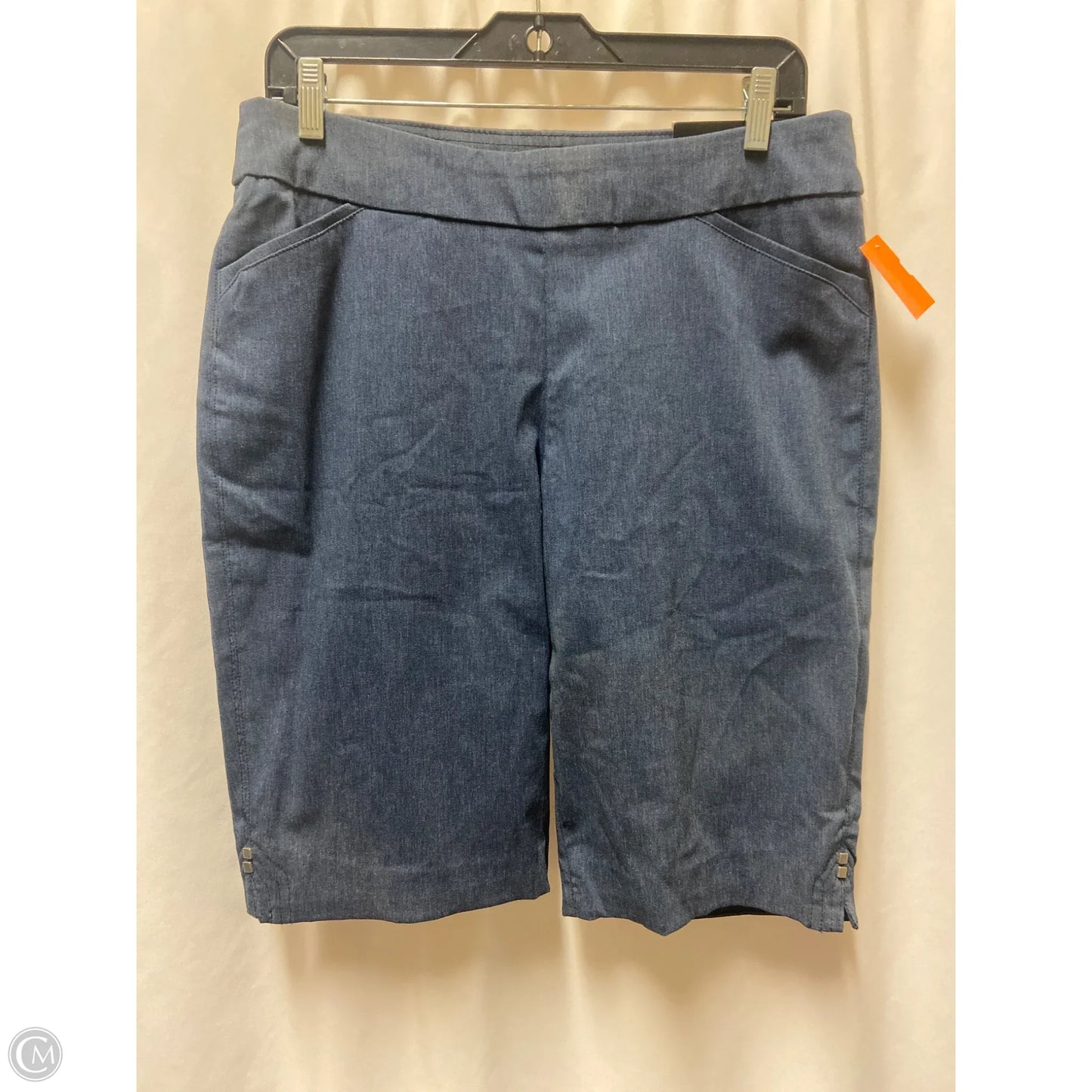 Shorts By Kim Rogers In Blue, Size: 10