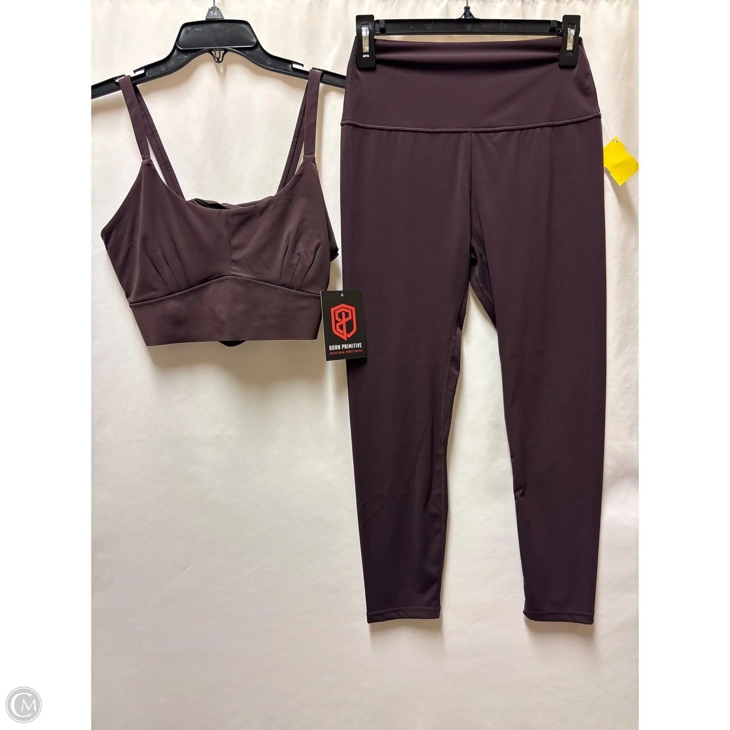 Athletic Pants 2pc By Clothes Mentor In Purple, Size: Xl