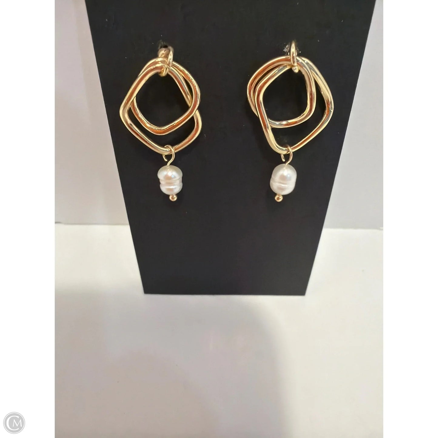 Earrings Dangle/drop By Cmf