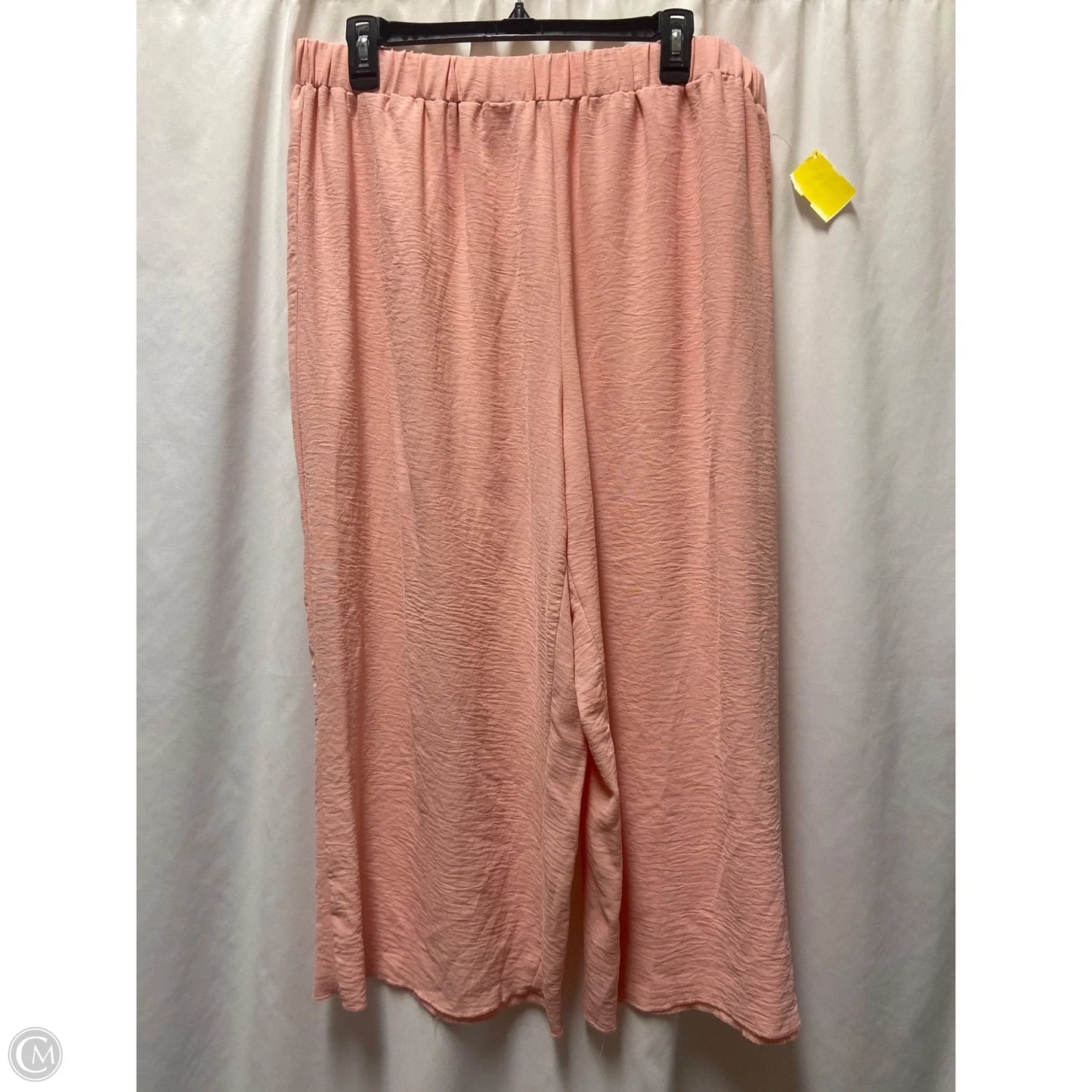 Pants Set 2pc By Shein In Pink, Size: 2x