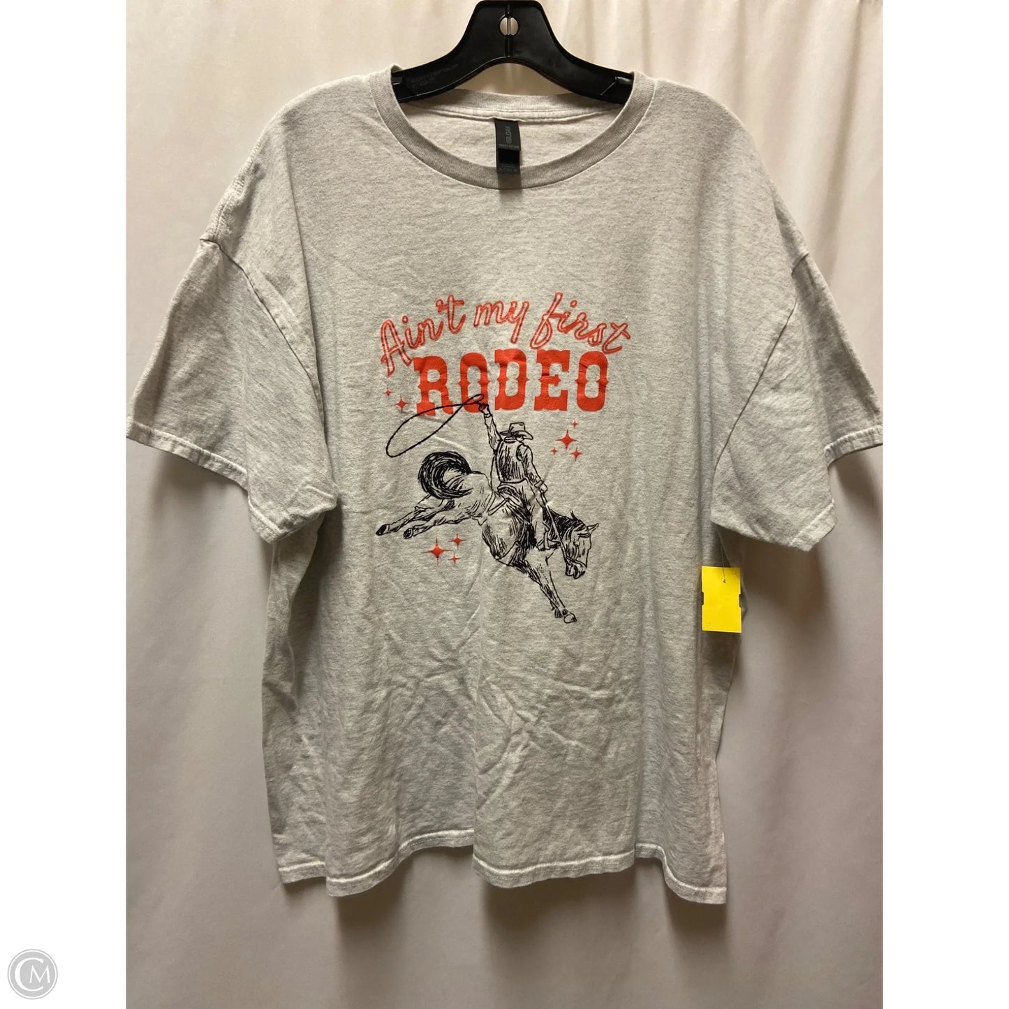 Top Short Sleeve By Gildan In Grey, Size: Xl