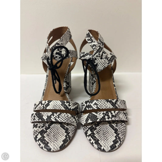 Shoes Heels Block By Gianni Bini In Animal Print, Size: 9