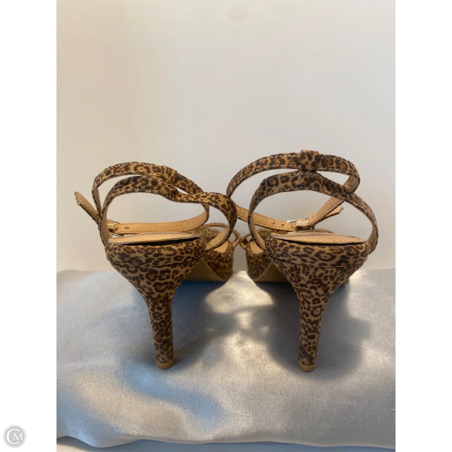 Shoes Heels Stiletto By Torrid In Animal Print, Size: 8.5