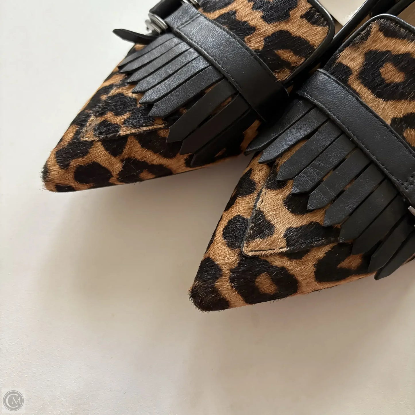 Shoes Flats By Franco Sarto In Animal Print, Size: 8