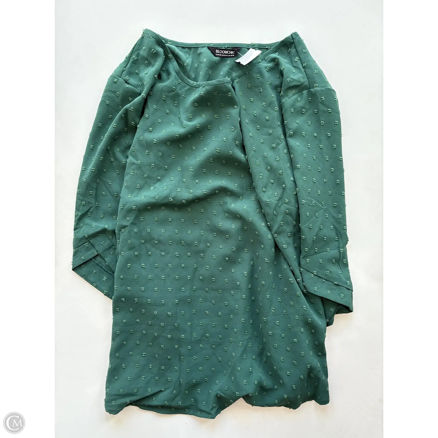 Blouse Long Sleeve By Bloomchic In Green, Size: 1x