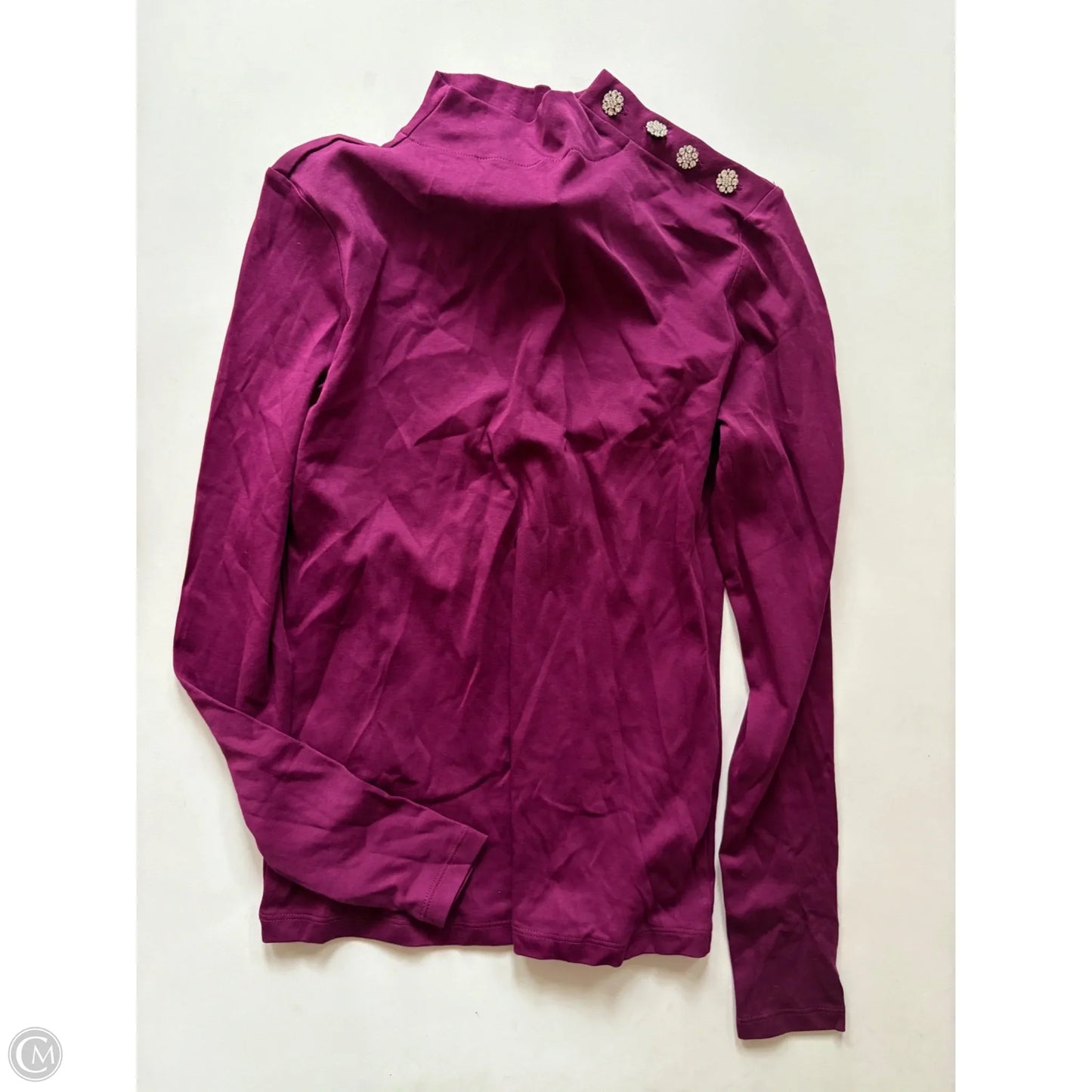 Top Long Sleeve By Ann Taylor In Purple, Size: Xs