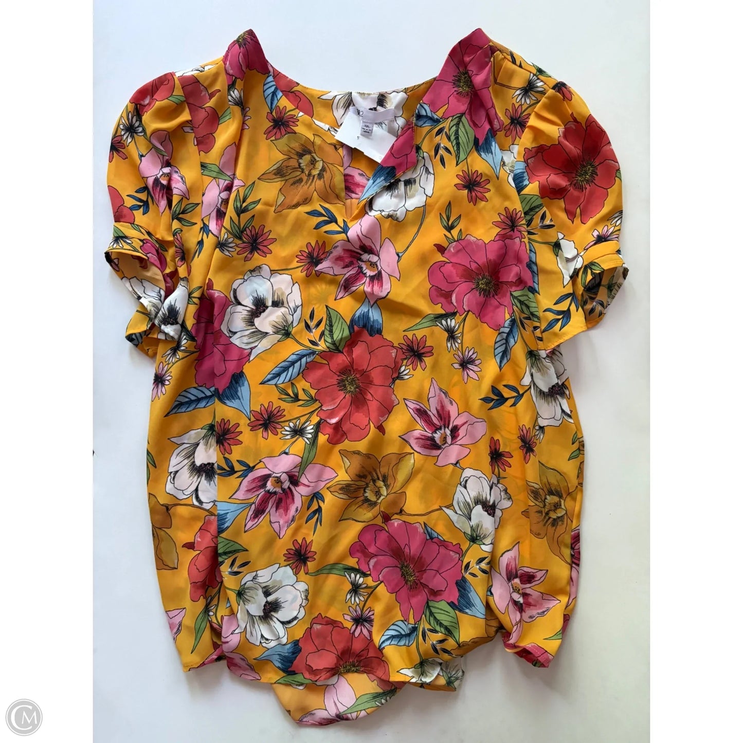 Blouse Short Sleeve By Dr2 In Floral Print, Size: 2x