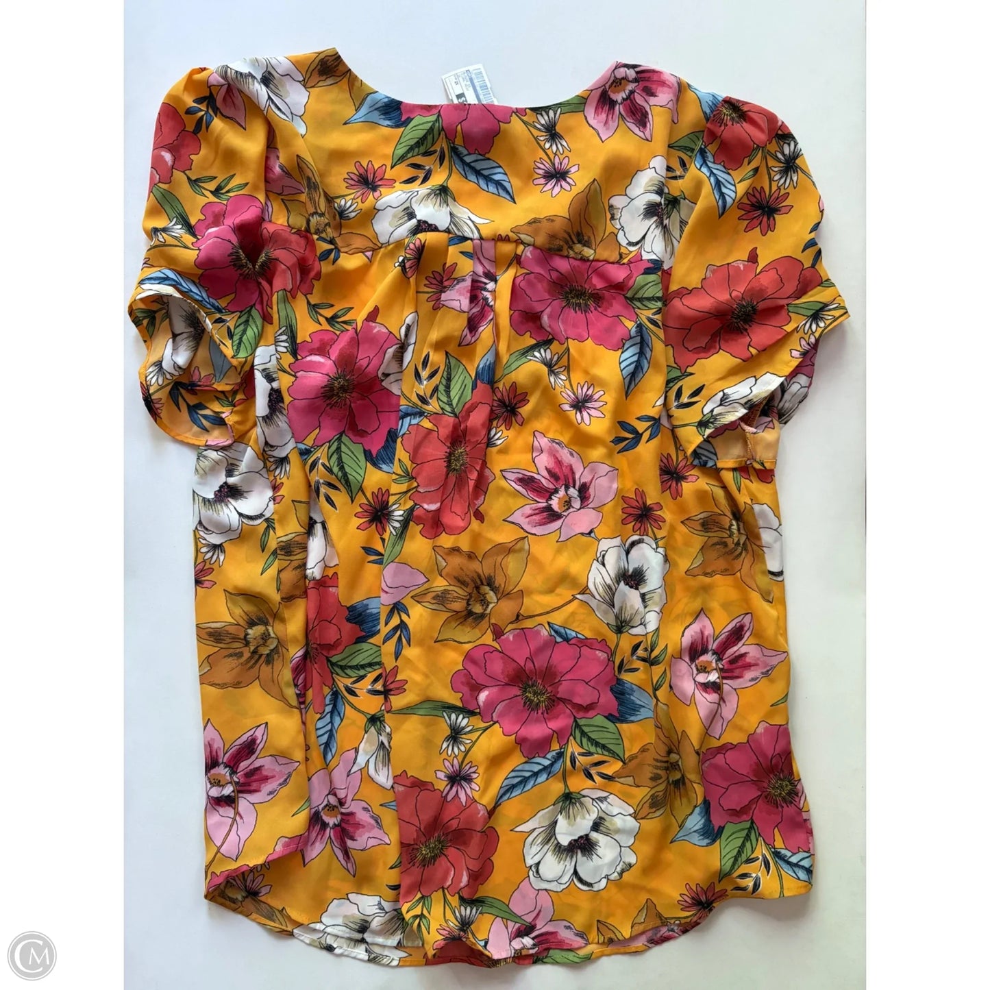 Blouse Short Sleeve By Dr2 In Floral Print, Size: 2x