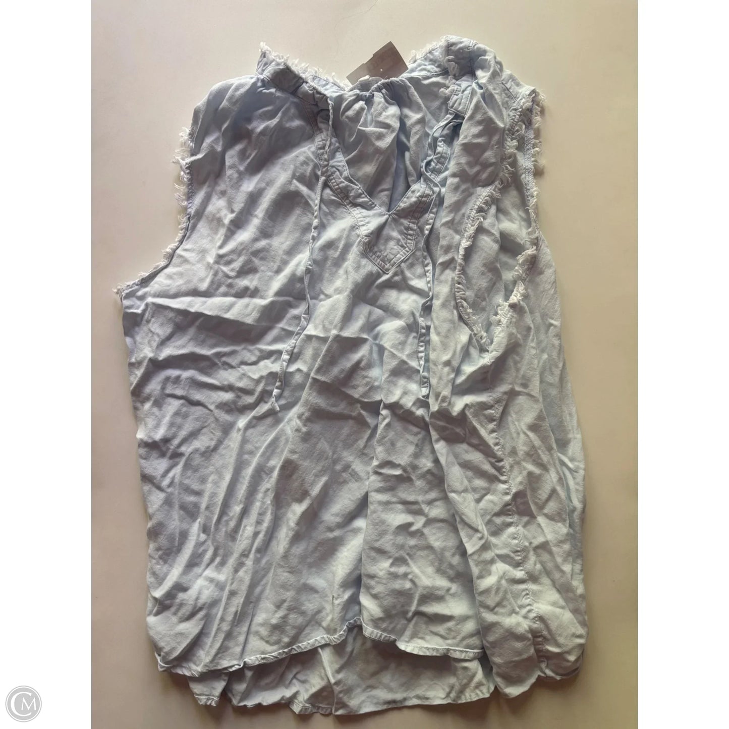 Top Sleeveless By Workshop In Blue, Size: 2x