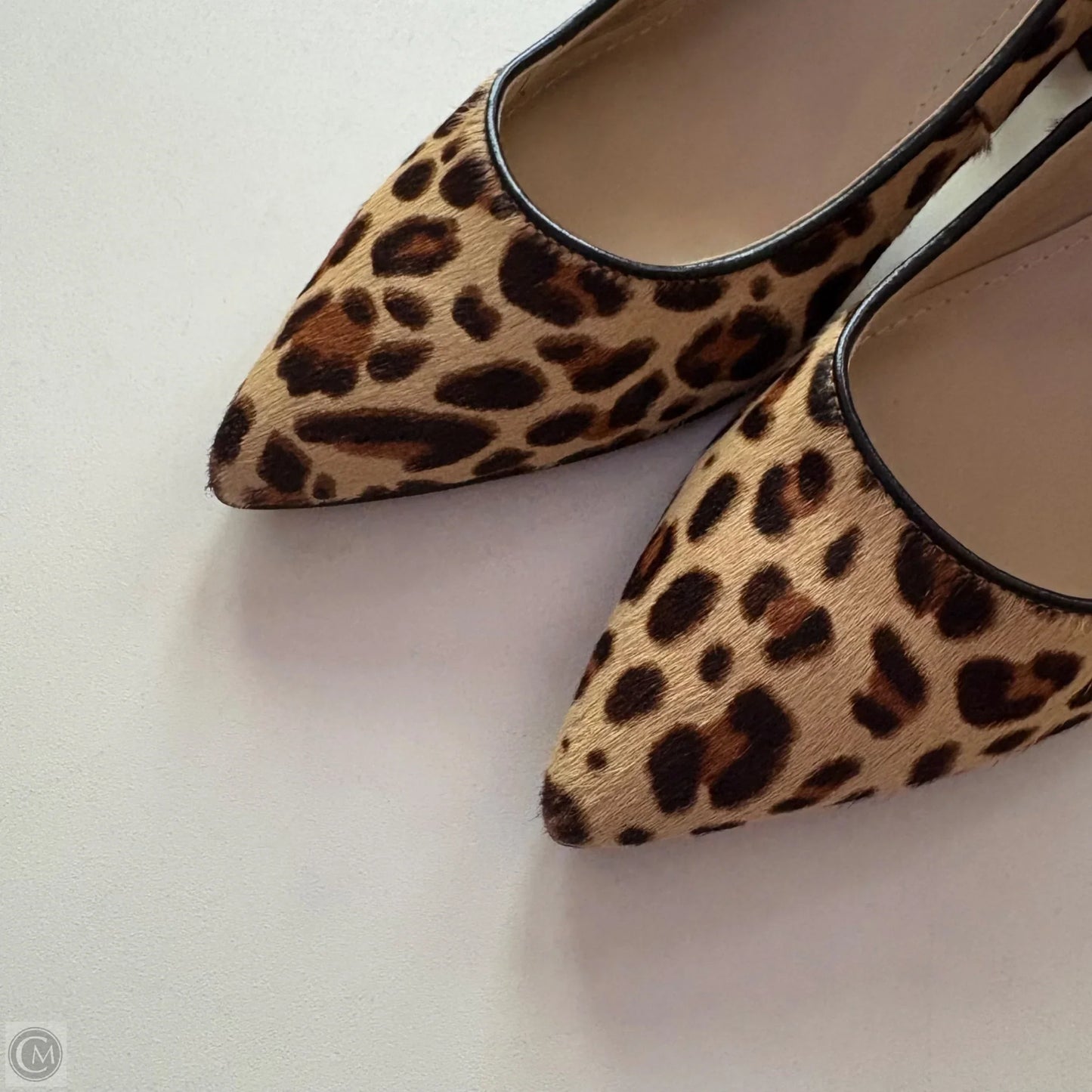 Shoes Heels Block By Marc Fisher In Animal Print, Size: 7.5