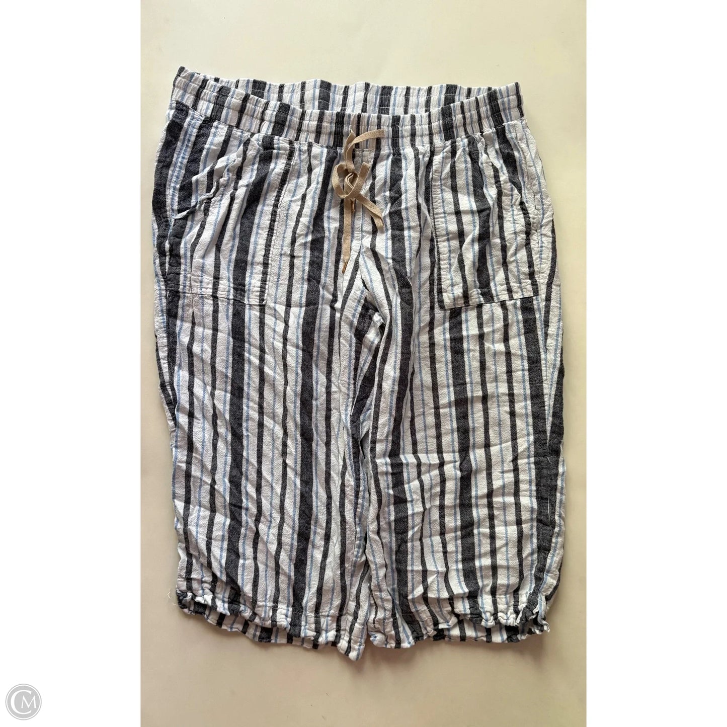 Pants Chinos & Khakis By Land N See In Striped Pattern, Size: 22