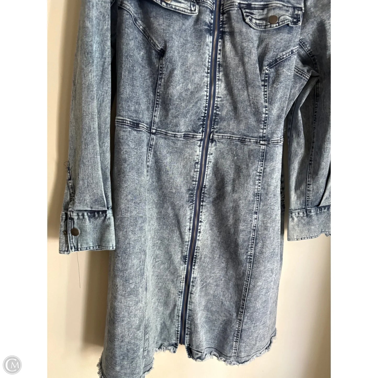 Dress Casual Maxi By Cato In Blue, Size: 1x