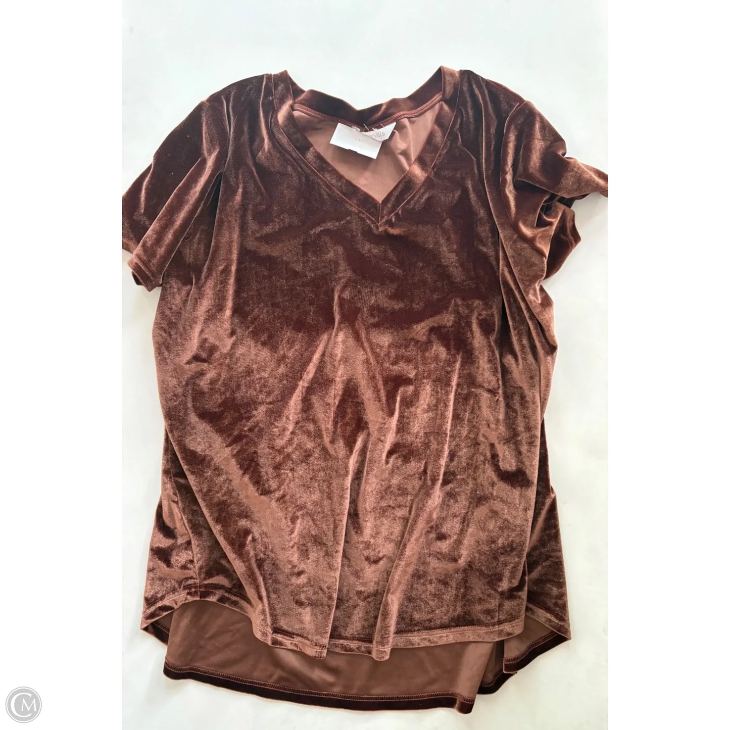 Top Short Sleeve By Amaryllis In Brown, Size: 2x