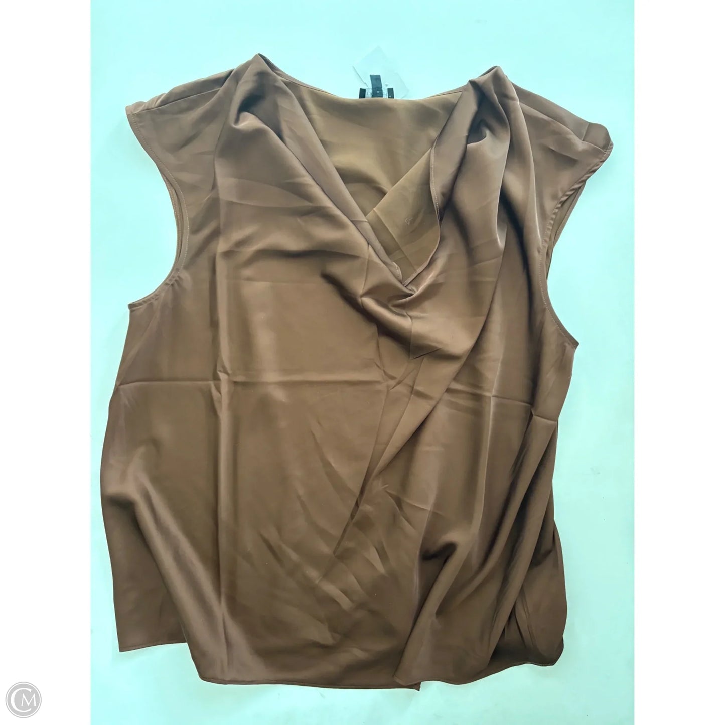 Blouse Sleeveless By Talbots In Brown, Size: Xl