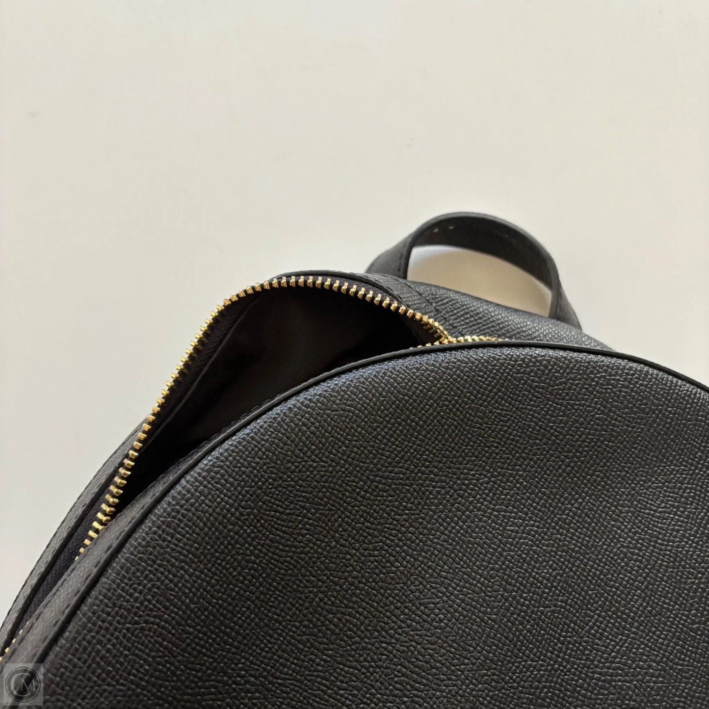 Backpack Designer By Coach, Size: Large