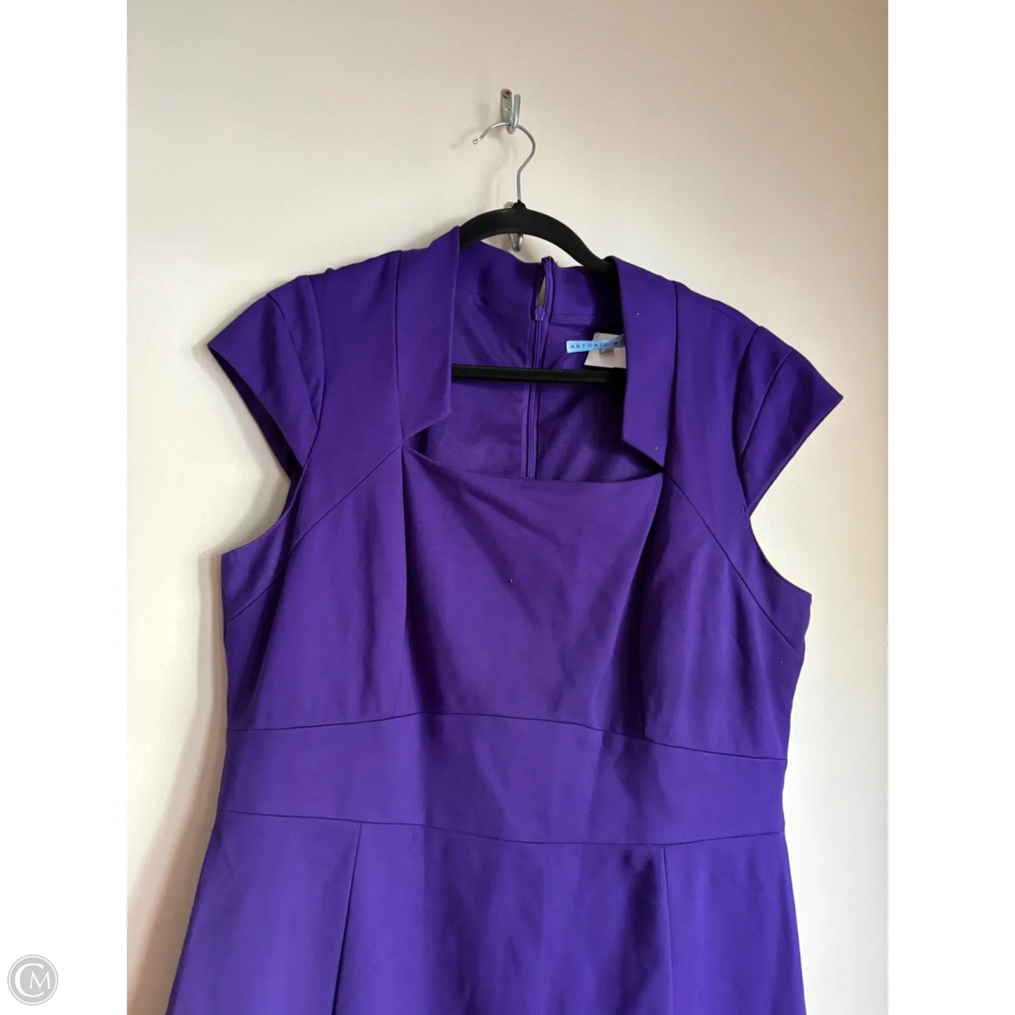 Dress Work By Antonio Melani In Purple, Size: L