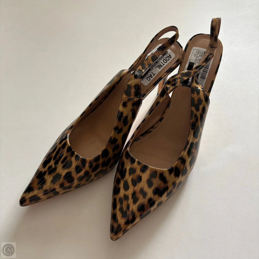 Shoes Heels Kitten By Clothes Mentor In Animal Print, Size: 11