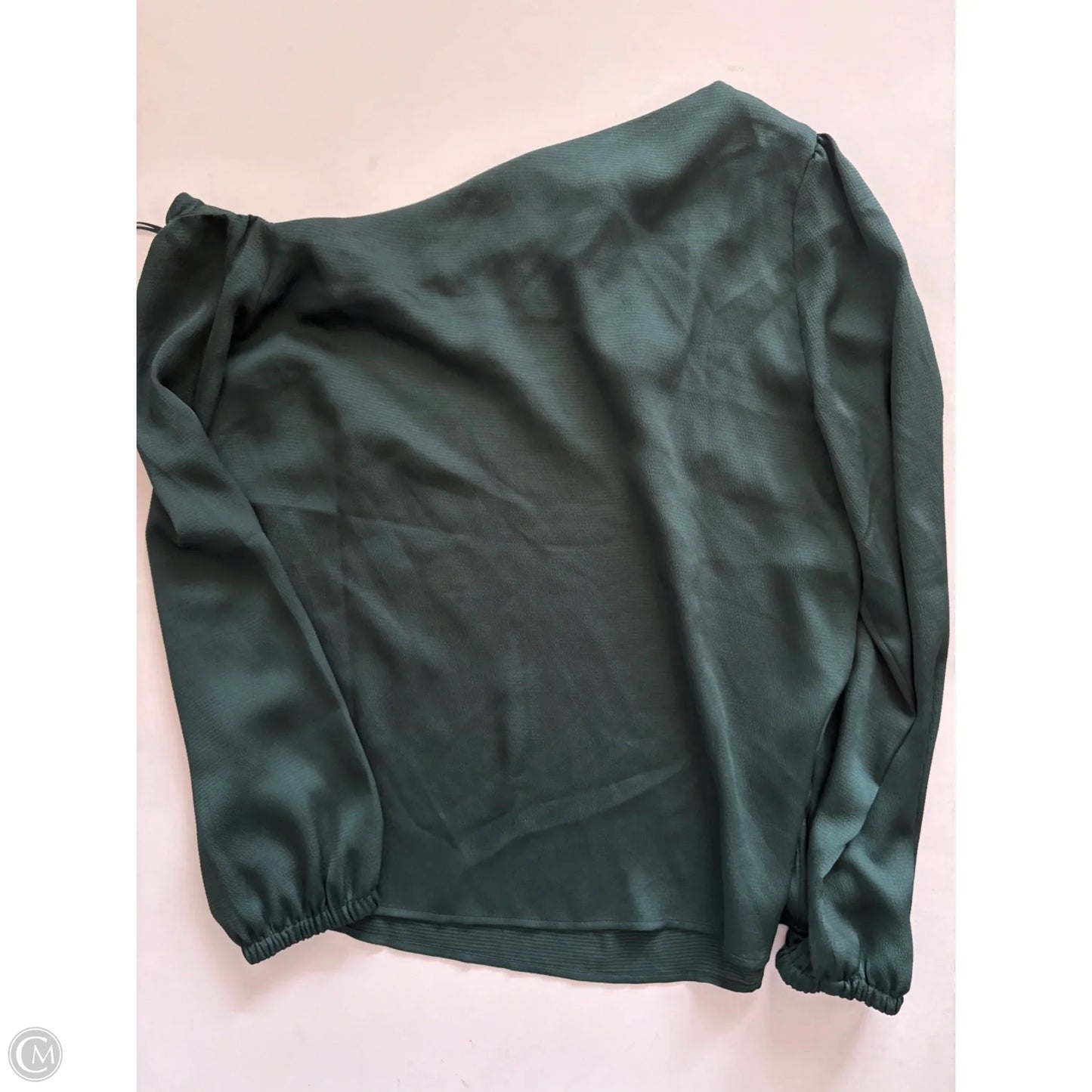 Blouse Long Sleeve By Limited In Green, Size: L