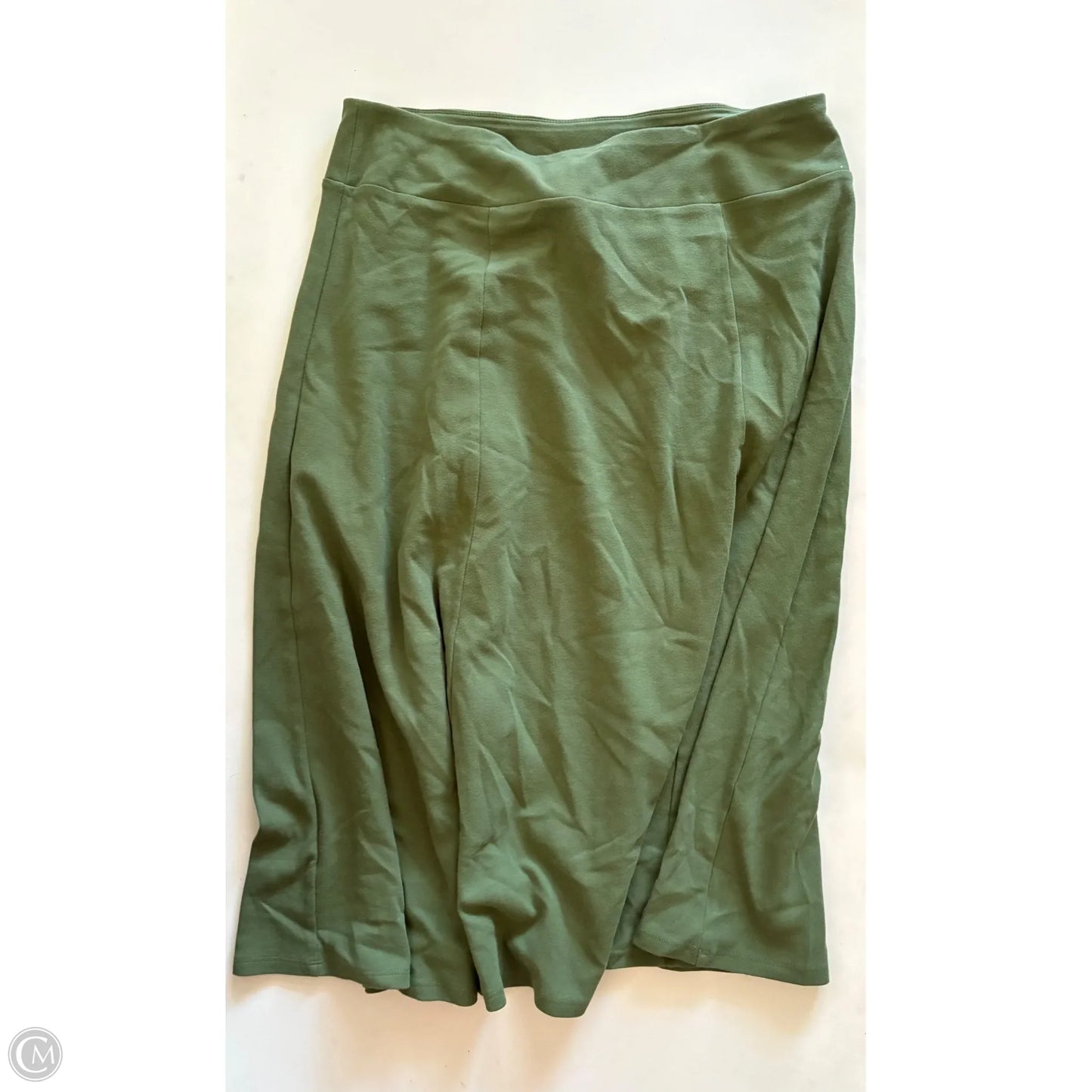 Skirt Mini & Short By Appleseeds In Green, Size: Xl