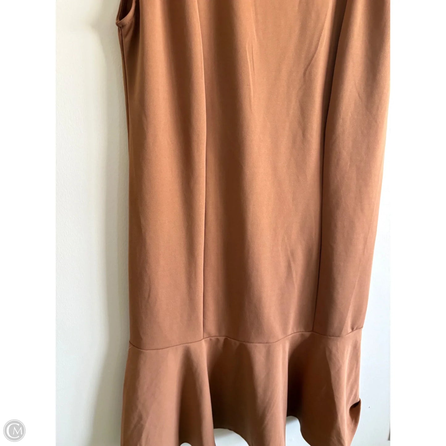 Dress Party Long By Ashley Stewart In Brown, Size: 22