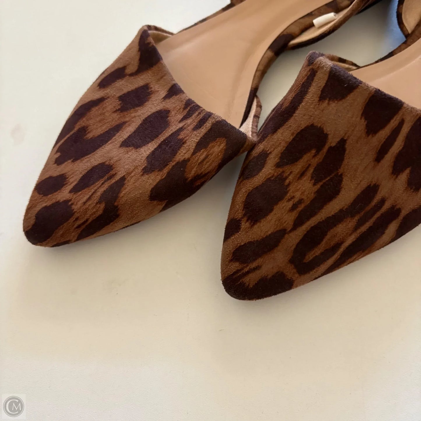 Shoes Flats By A New Day In Animal Print, Size: 8.5