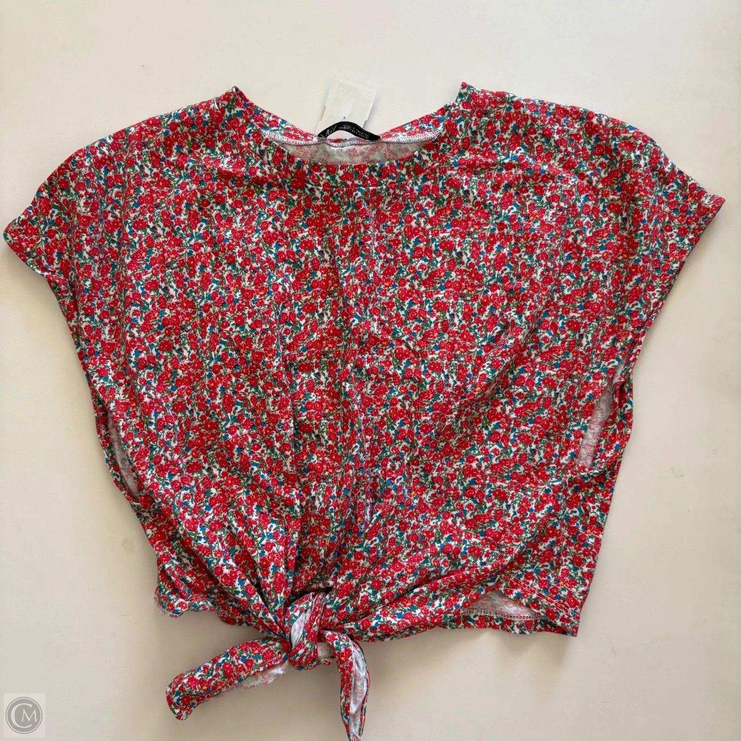 Top Sleeveless By Zara In Floral Print, Size: L