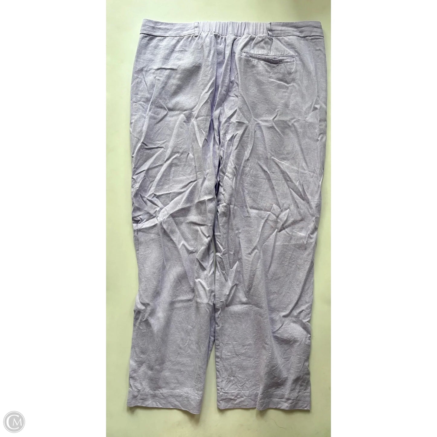 Pants Cargo & Utility By Old Navy In Purple, Size: Xl