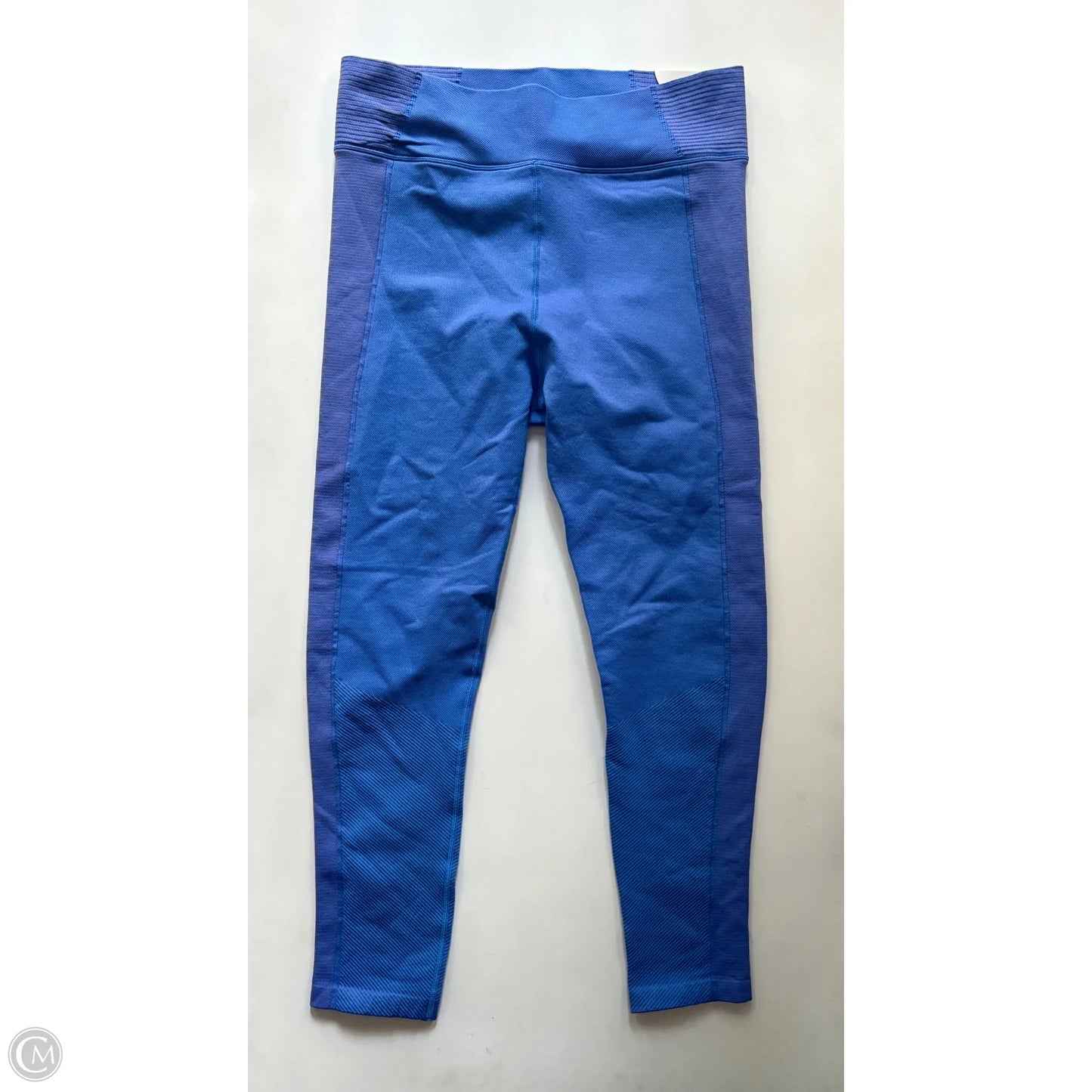 Athletic Leggings By Aerie In Blue, Size: Xxl