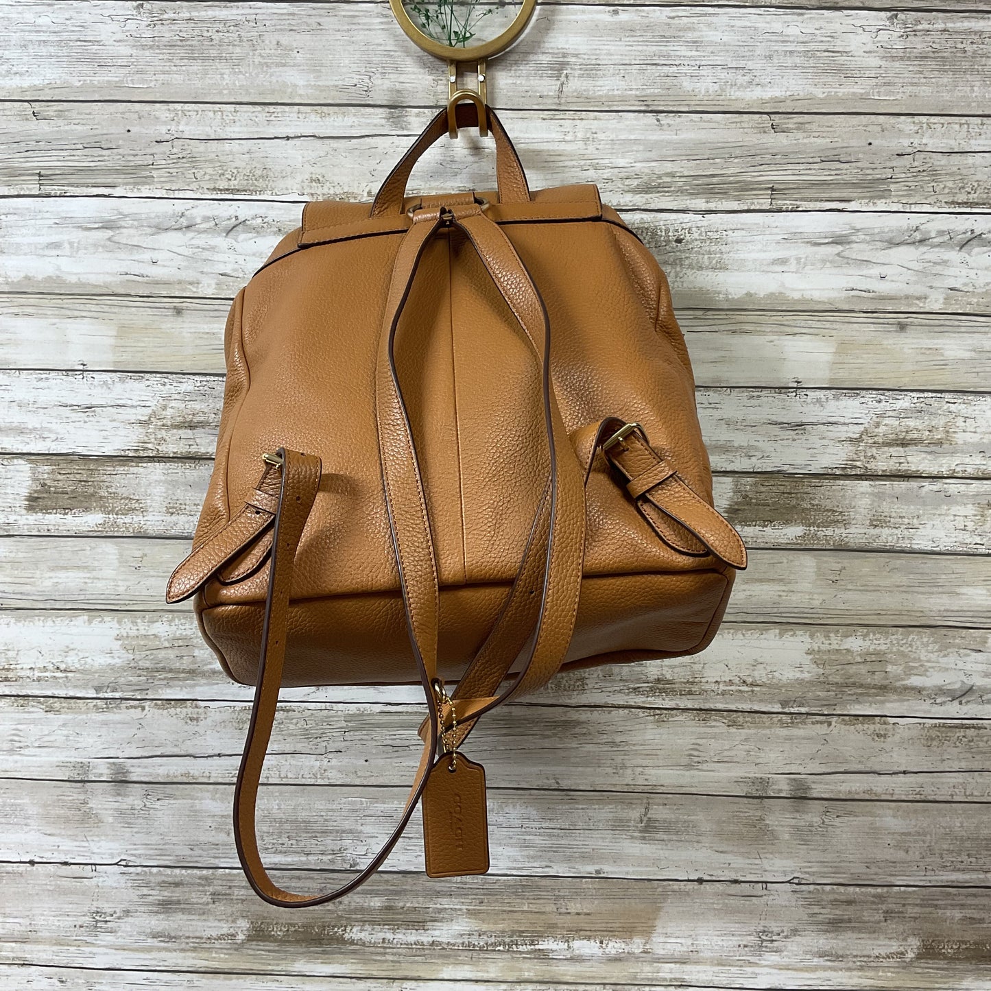 Backpack Designer By Coach In Brown, Size:Medium