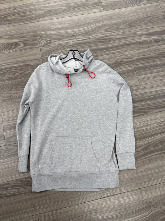 Sweatshirt Hoodie By Wild Fable In Grey, Size: S