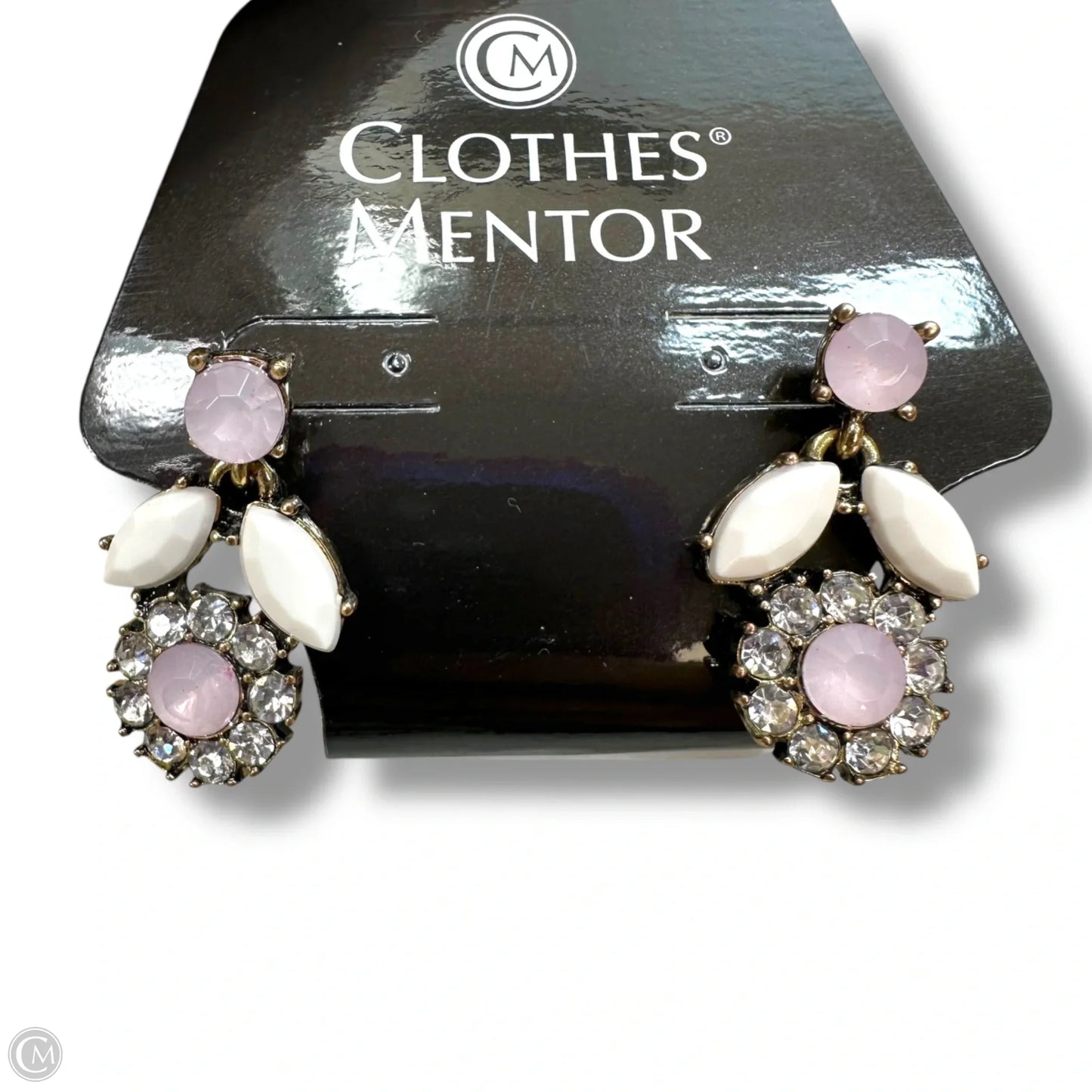 Earrings Dangle/drop By Clothes Mentor