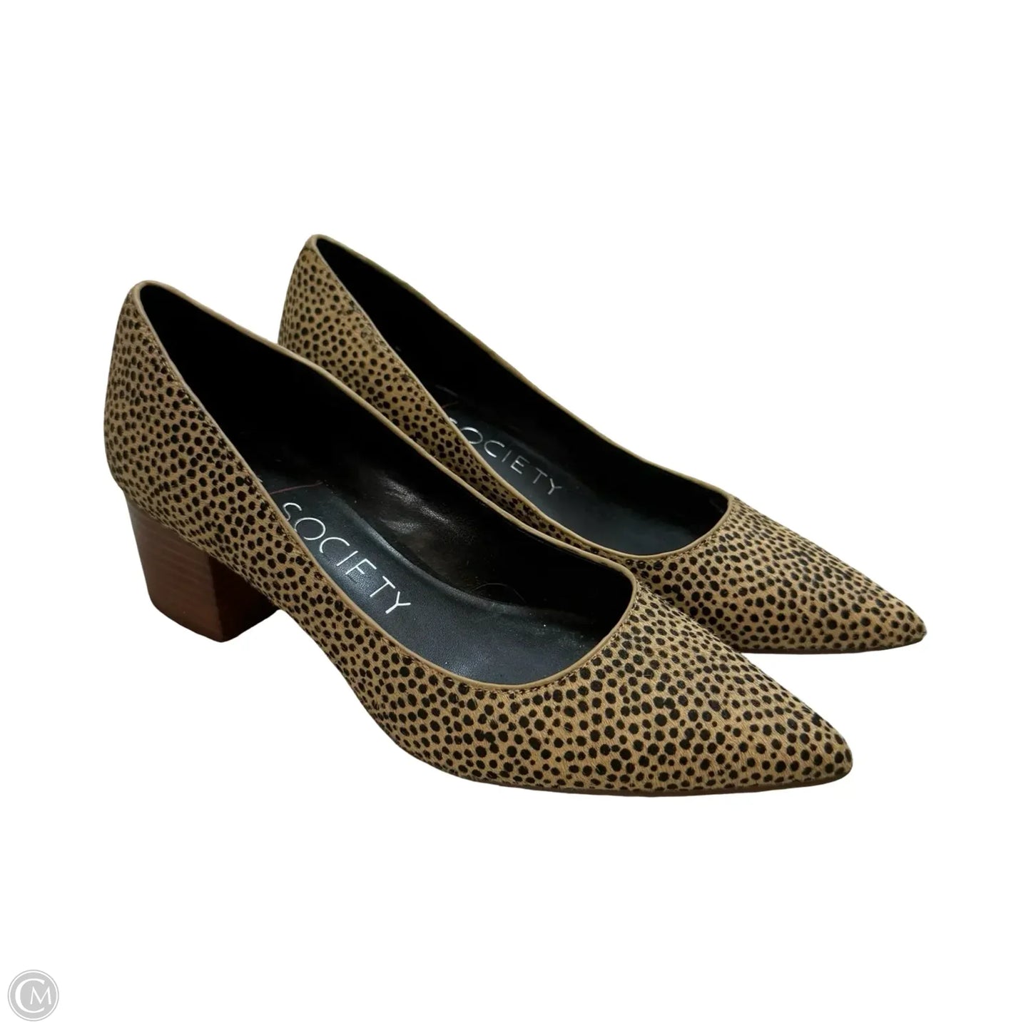 Shoes Flats By Sole Society In Leopard Print, Size: 7