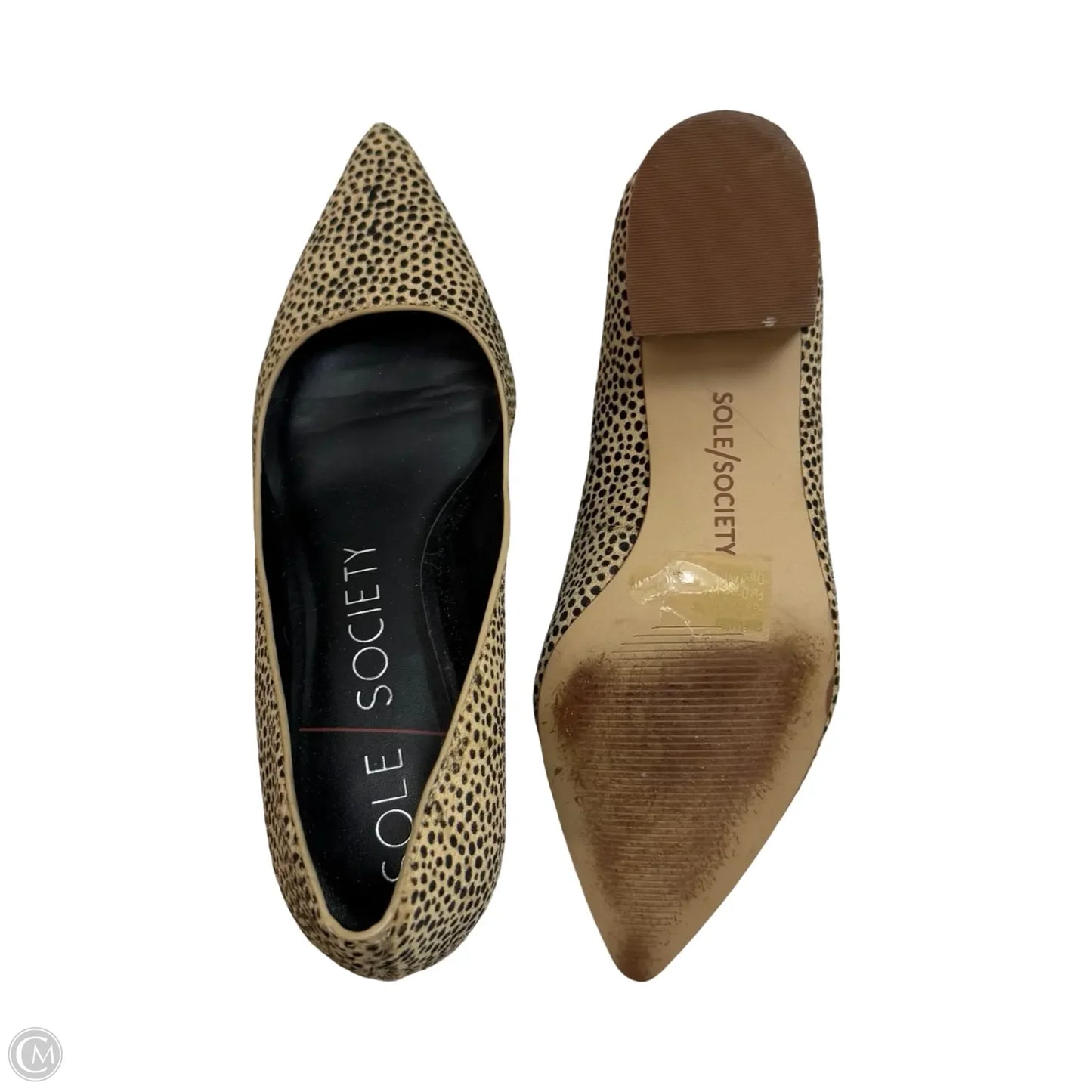 Shoes Flats By Sole Society In Leopard Print, Size: 7