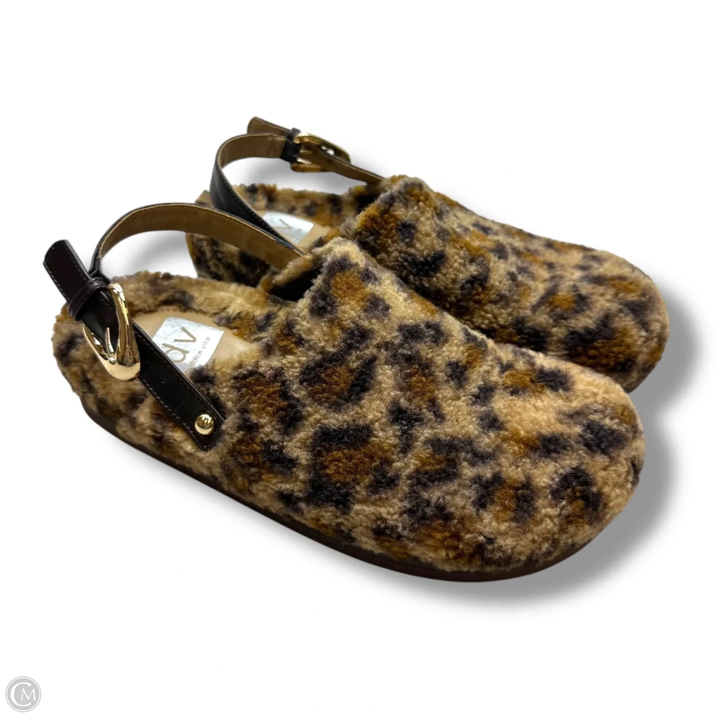 Shoes Flats By Dolce Vita In Leopard Print, Size: 8.5