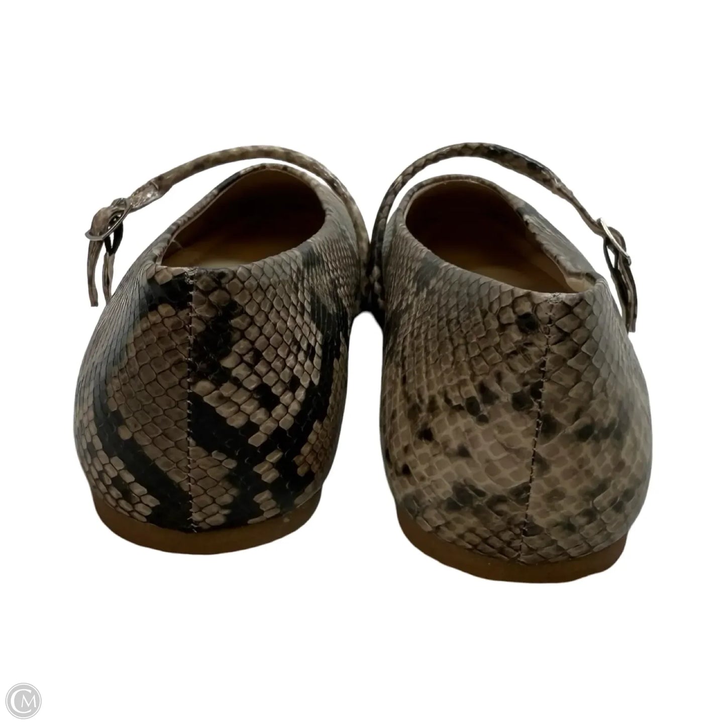 Shoes Flats By Kenneth Cole In Snakeskin Print, Size: 7.5