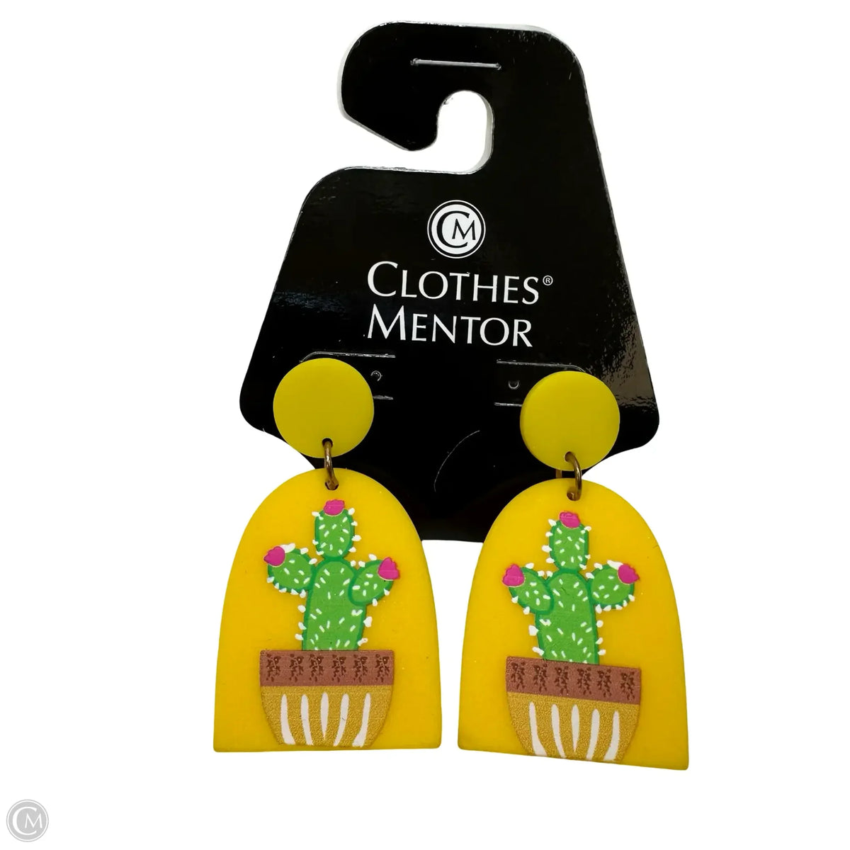 Earrings Dangle/drop By Clothes Mentor