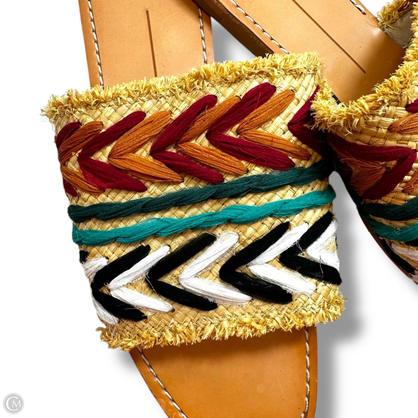 Sandals Flip Flops By Dolce Vita In Multi-colored, Size: 9