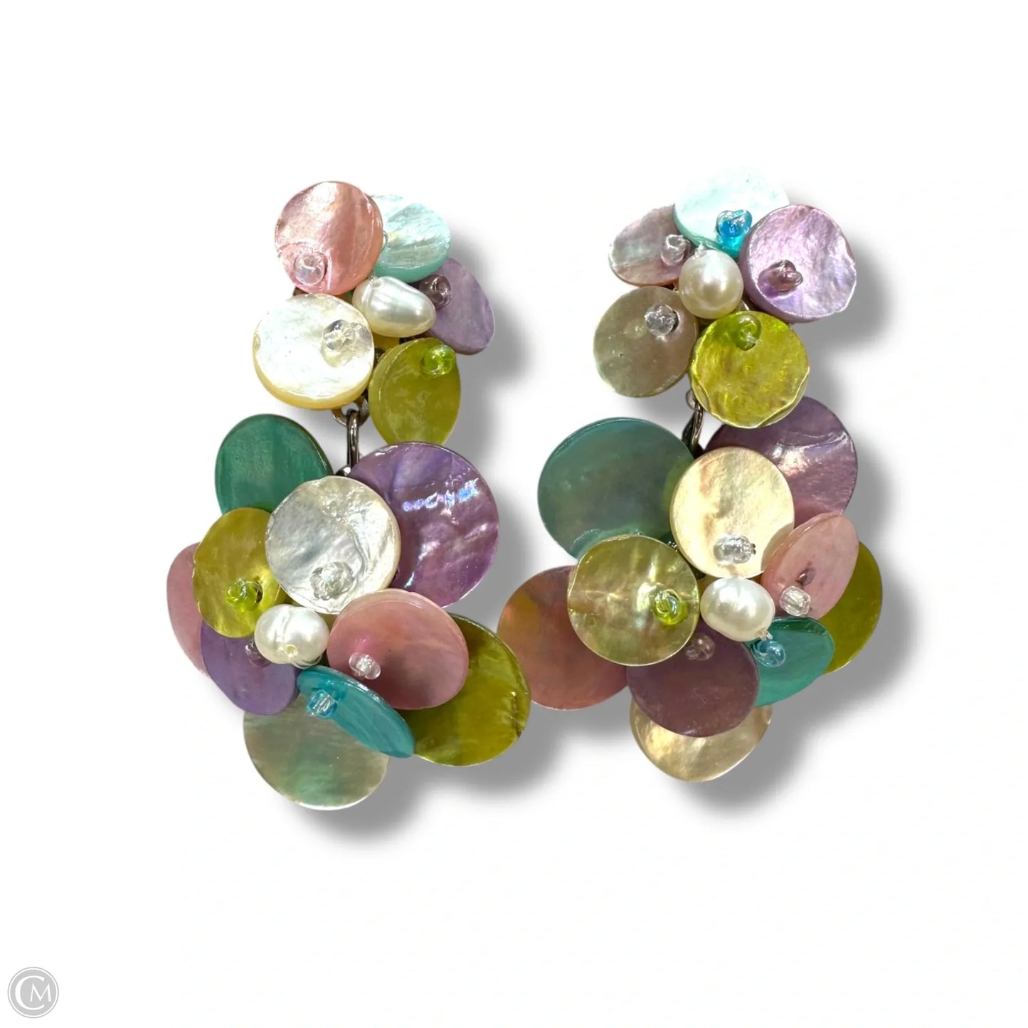 Earrings Dangle/drop By Clothes Mentor