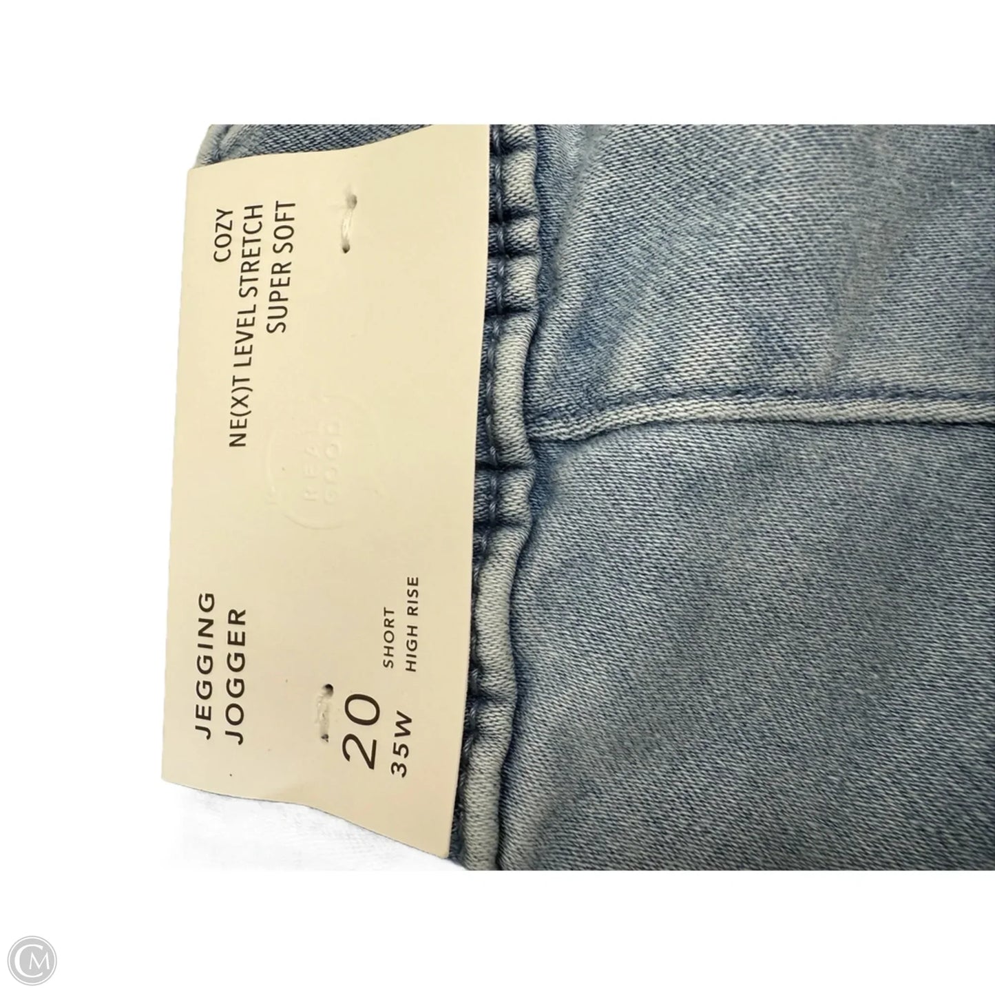 Pants Joggers By American Eagle In Blue Denim, Size: 20