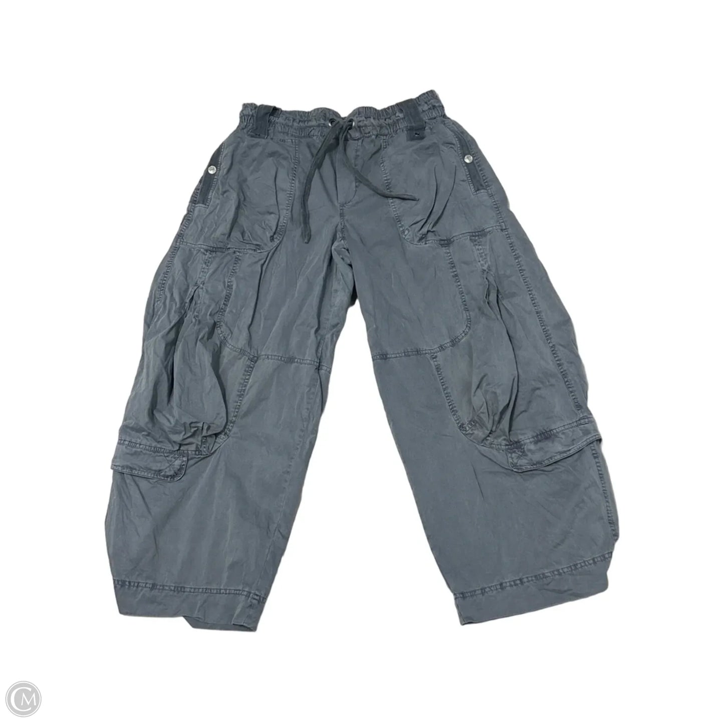 Pants Cargo & Utility By Free People In Grey, Size: L
