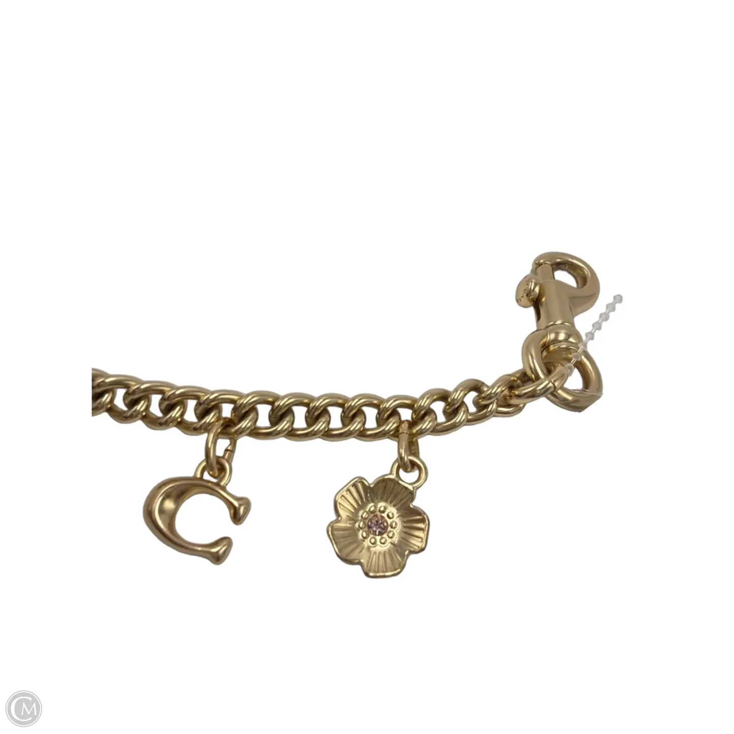 Coach Designer Swagger Chain Bag Charm