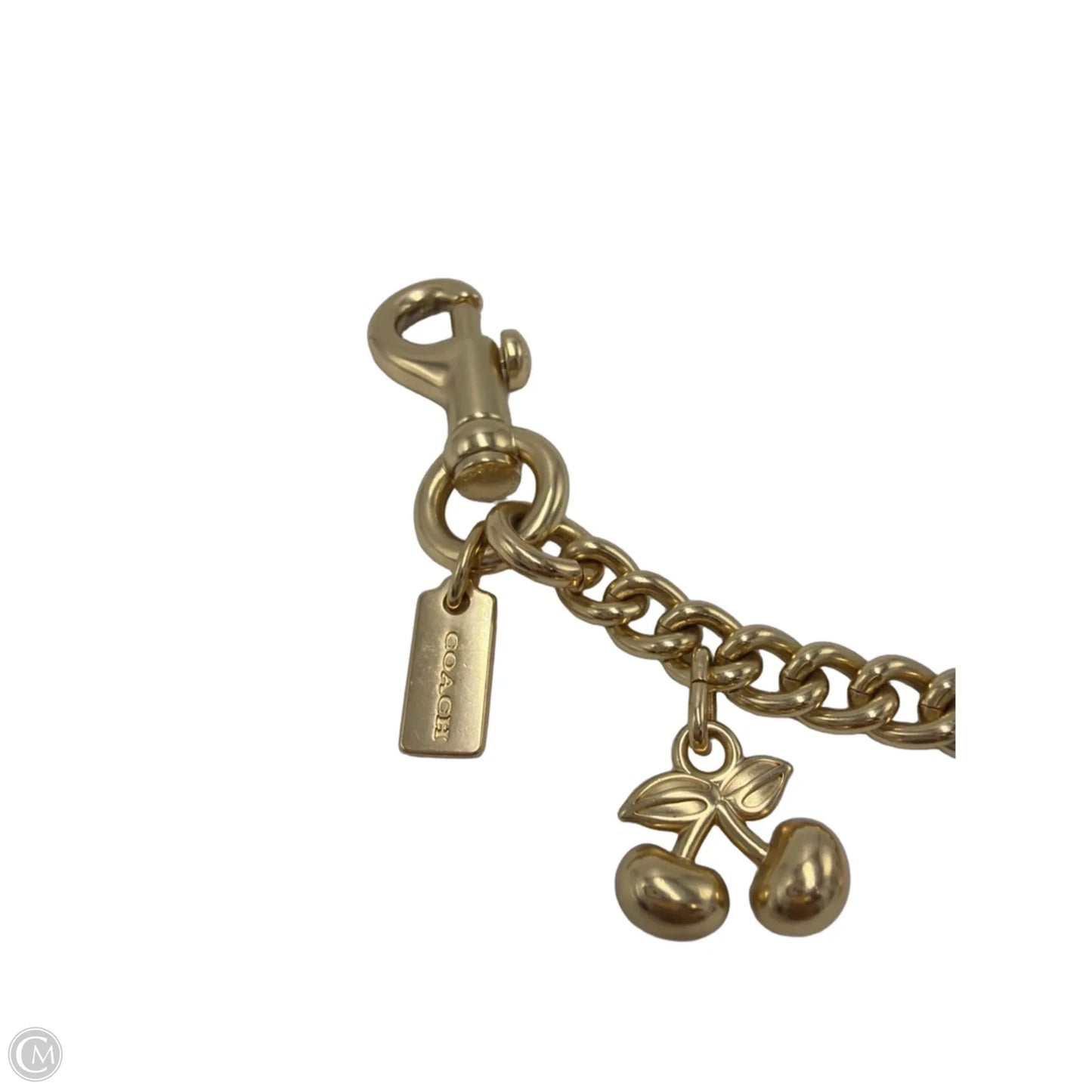 Coach Designer Swagger Chain Bag Charm