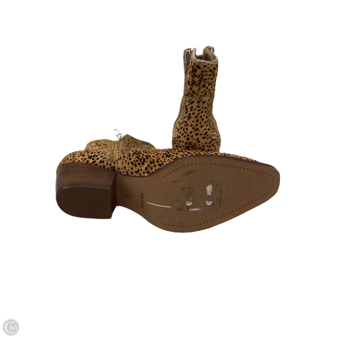 Boots Ankle Heels By Dolce Vita In Animal Print, Size: 9.5