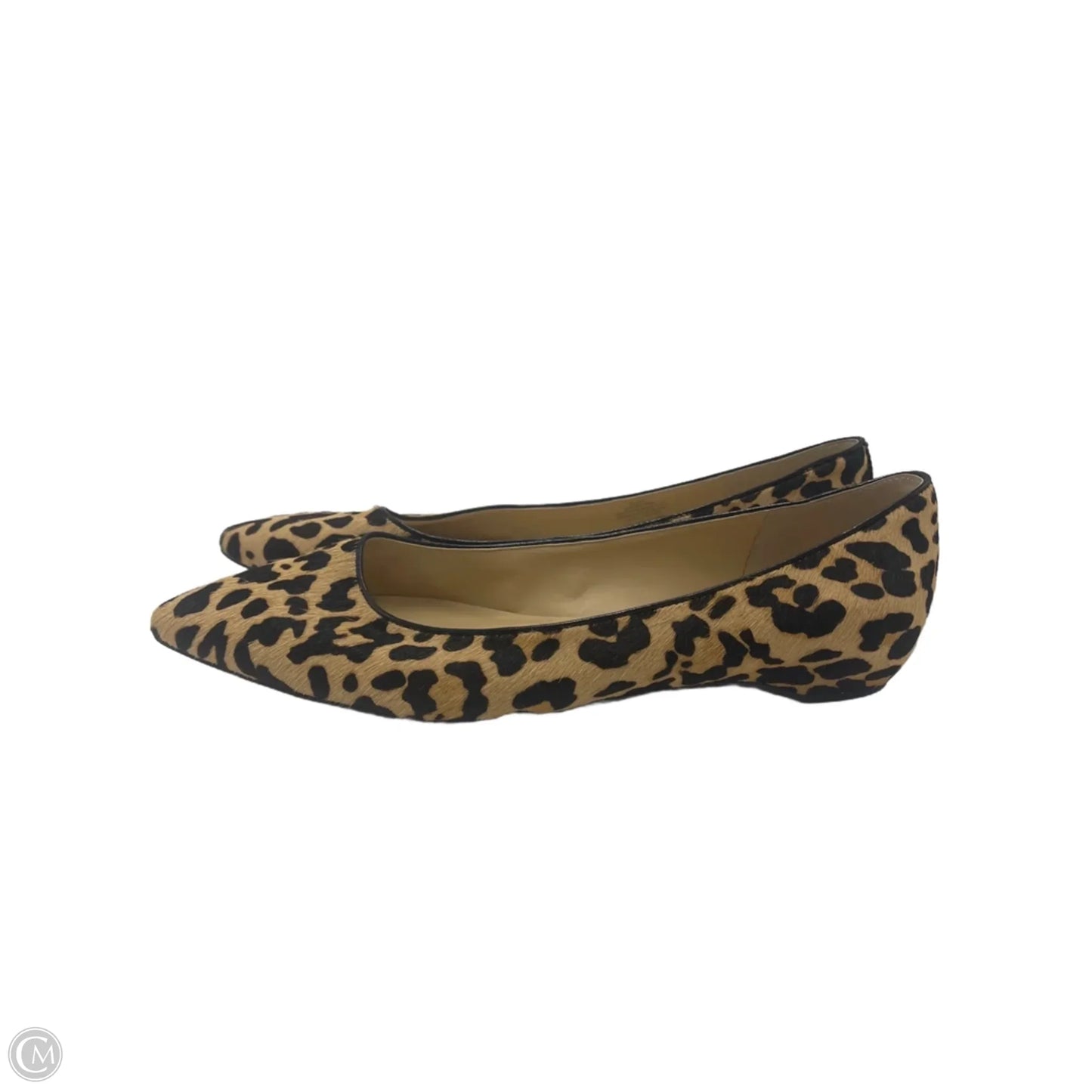 Shoes Flats By Ivanka Trump In Animal Print, Size: 11.5